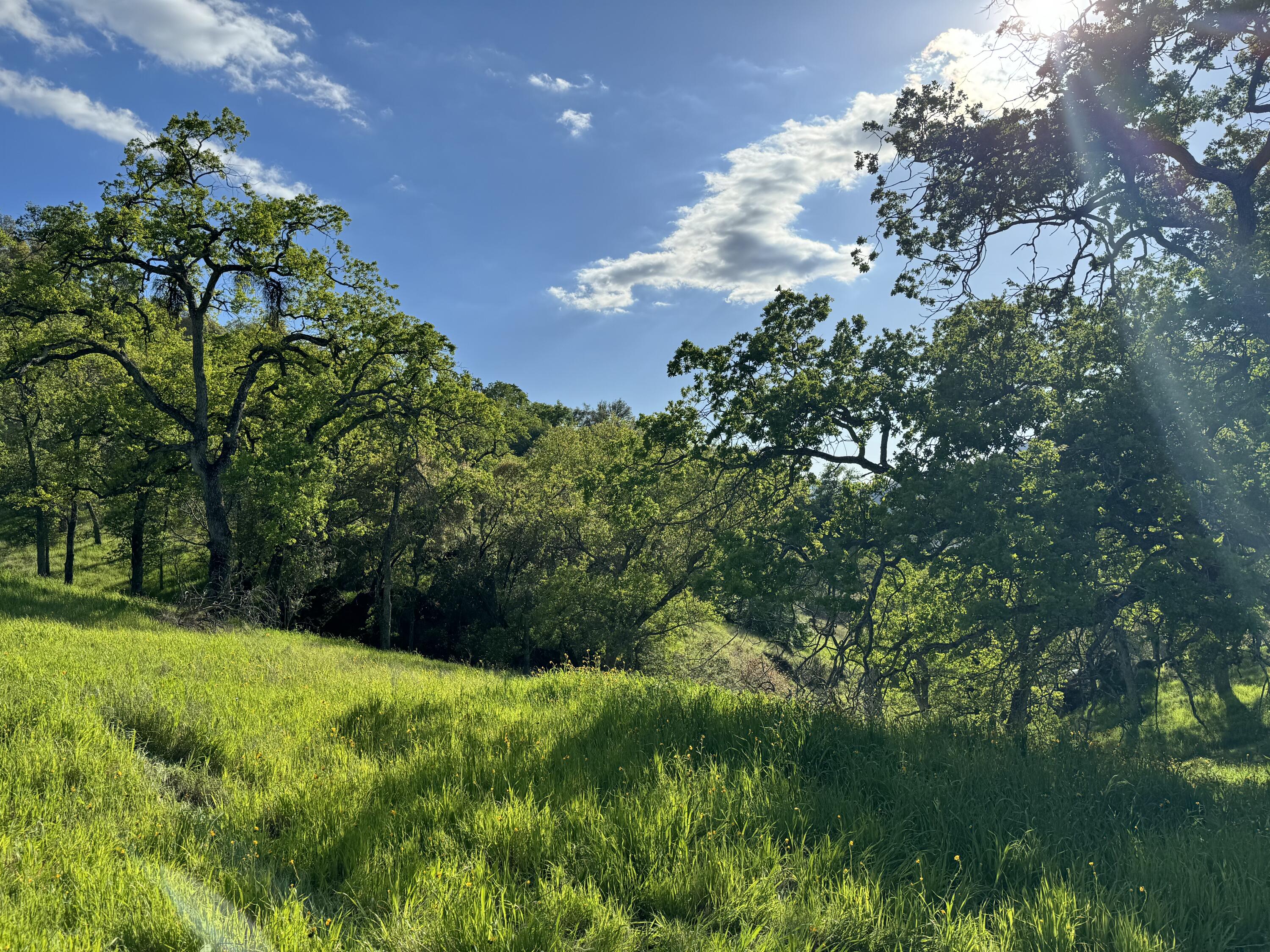 0 Mynatt Dr, Three Rivers, CA 93271