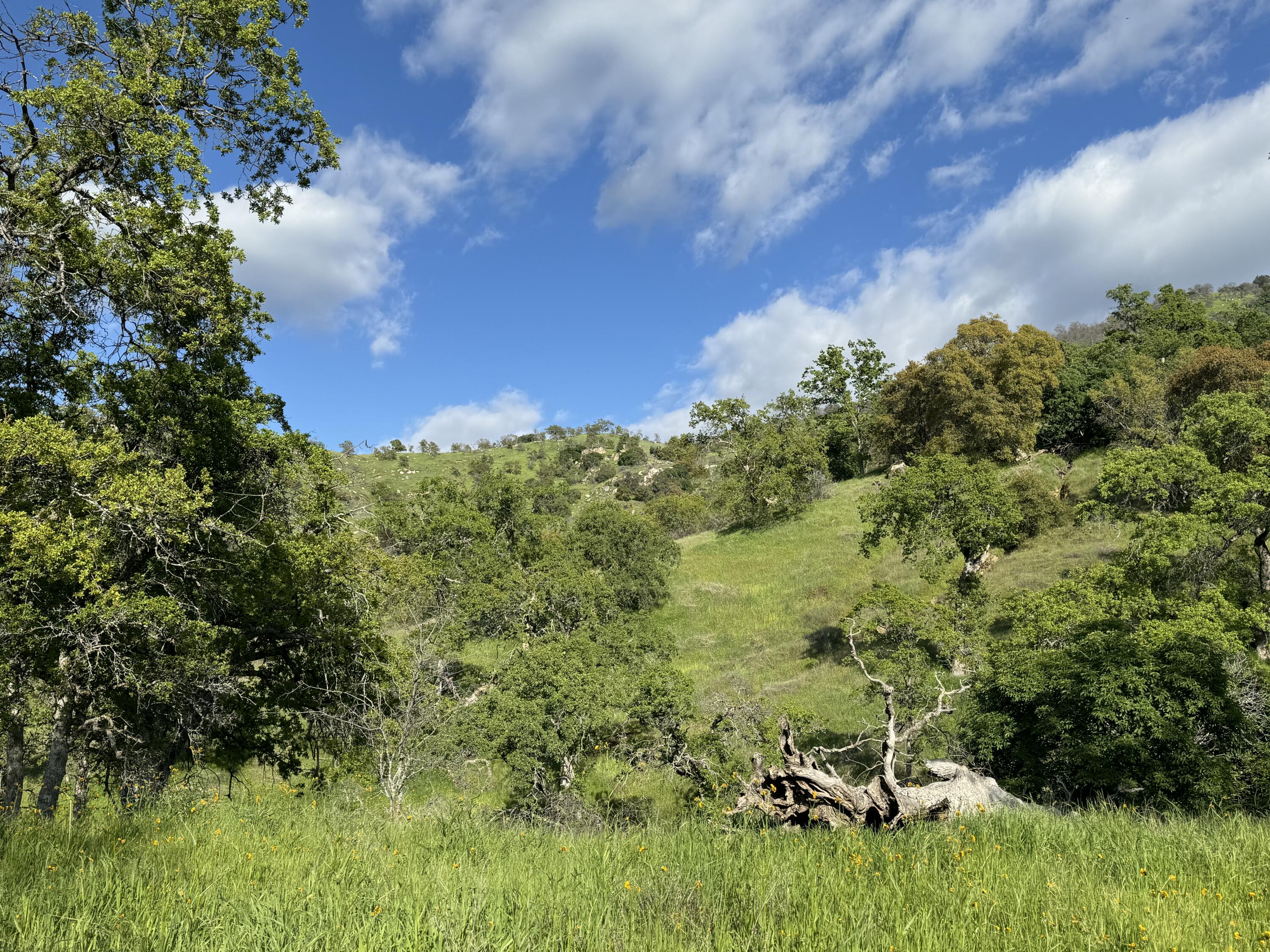 0 Mynatt Dr, Three Rivers, CA 93271