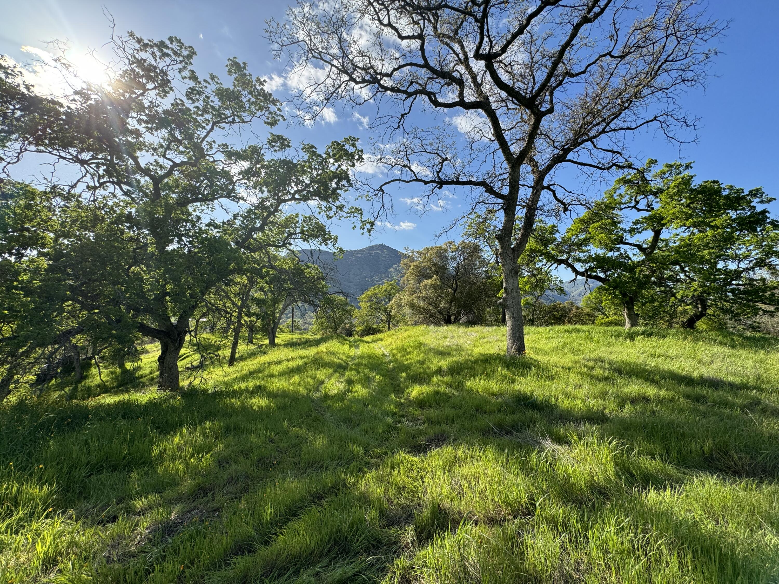 0 Mynatt Dr, Three Rivers, CA 93271