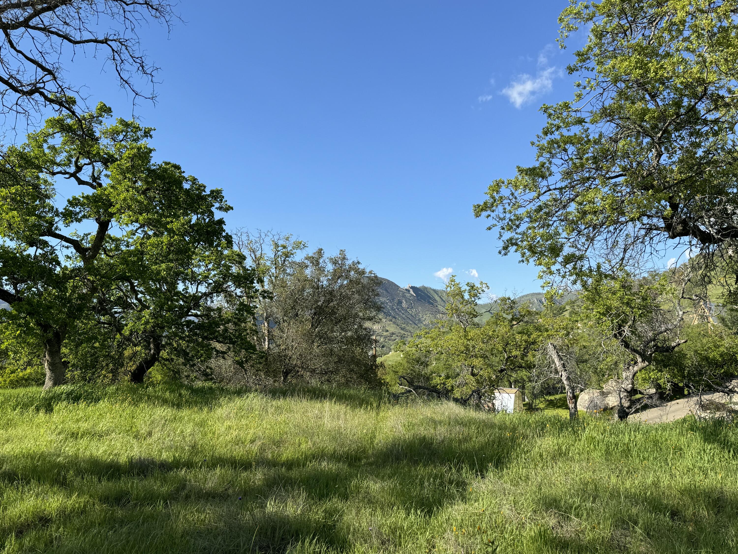 0 Mynatt Dr, Three Rivers, CA 93271