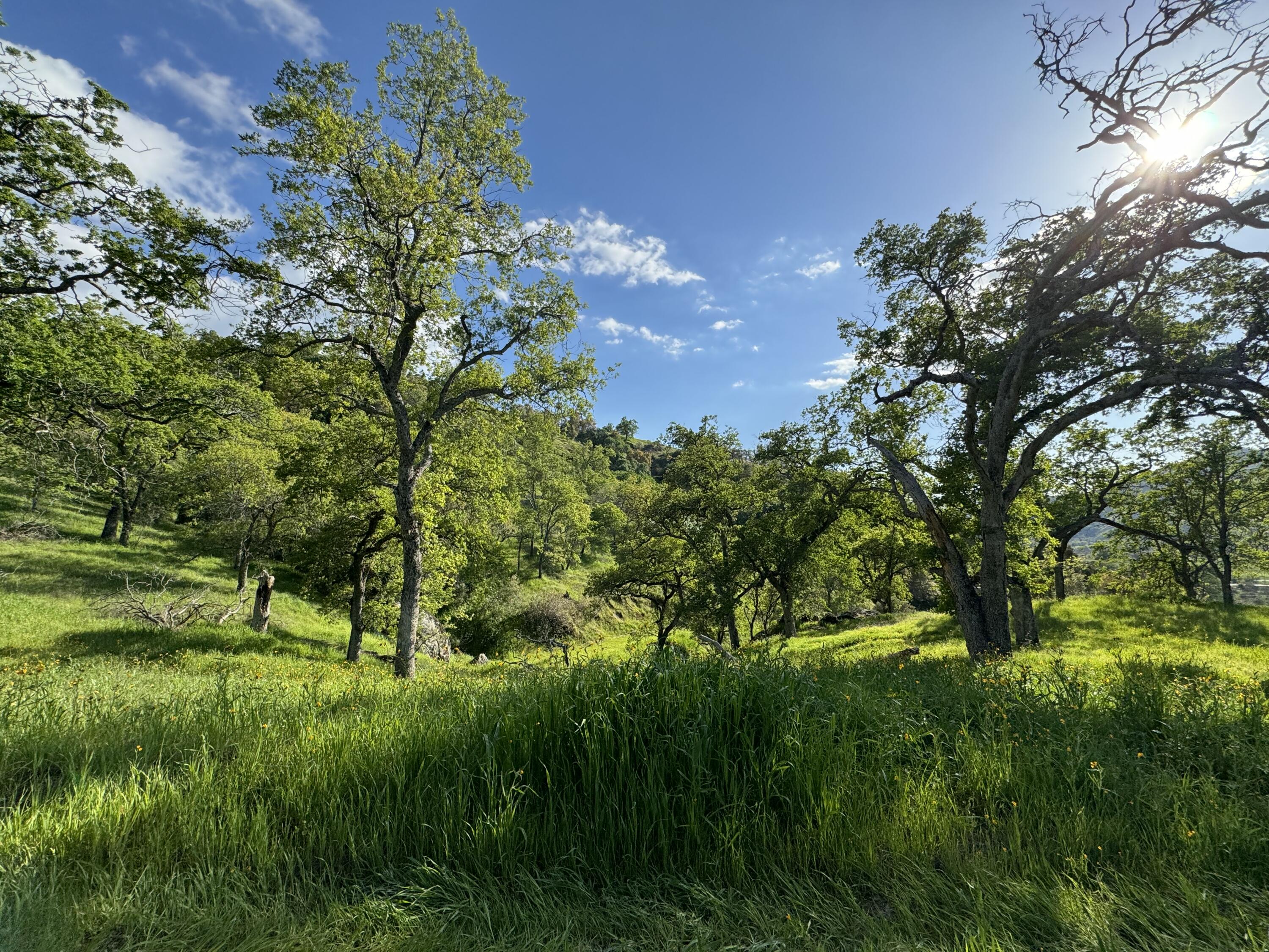 0 Mynatt Dr, Three Rivers, CA 93271