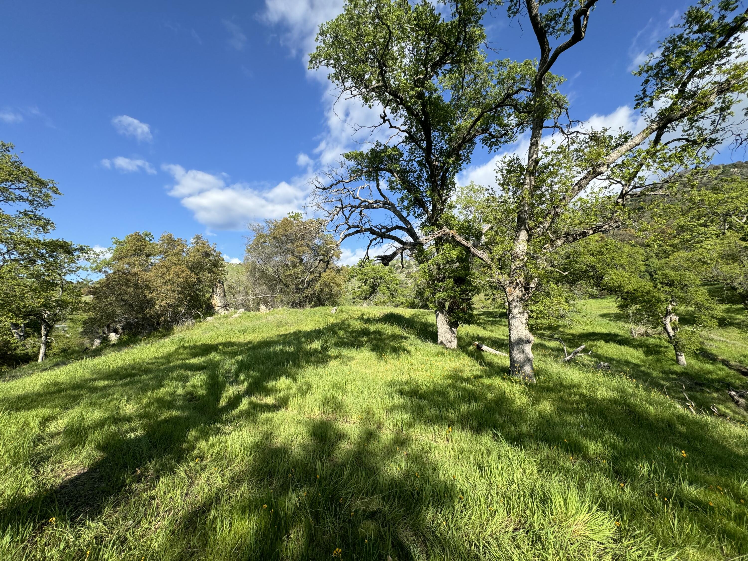 0 Mynatt Dr, Three Rivers, CA 93271