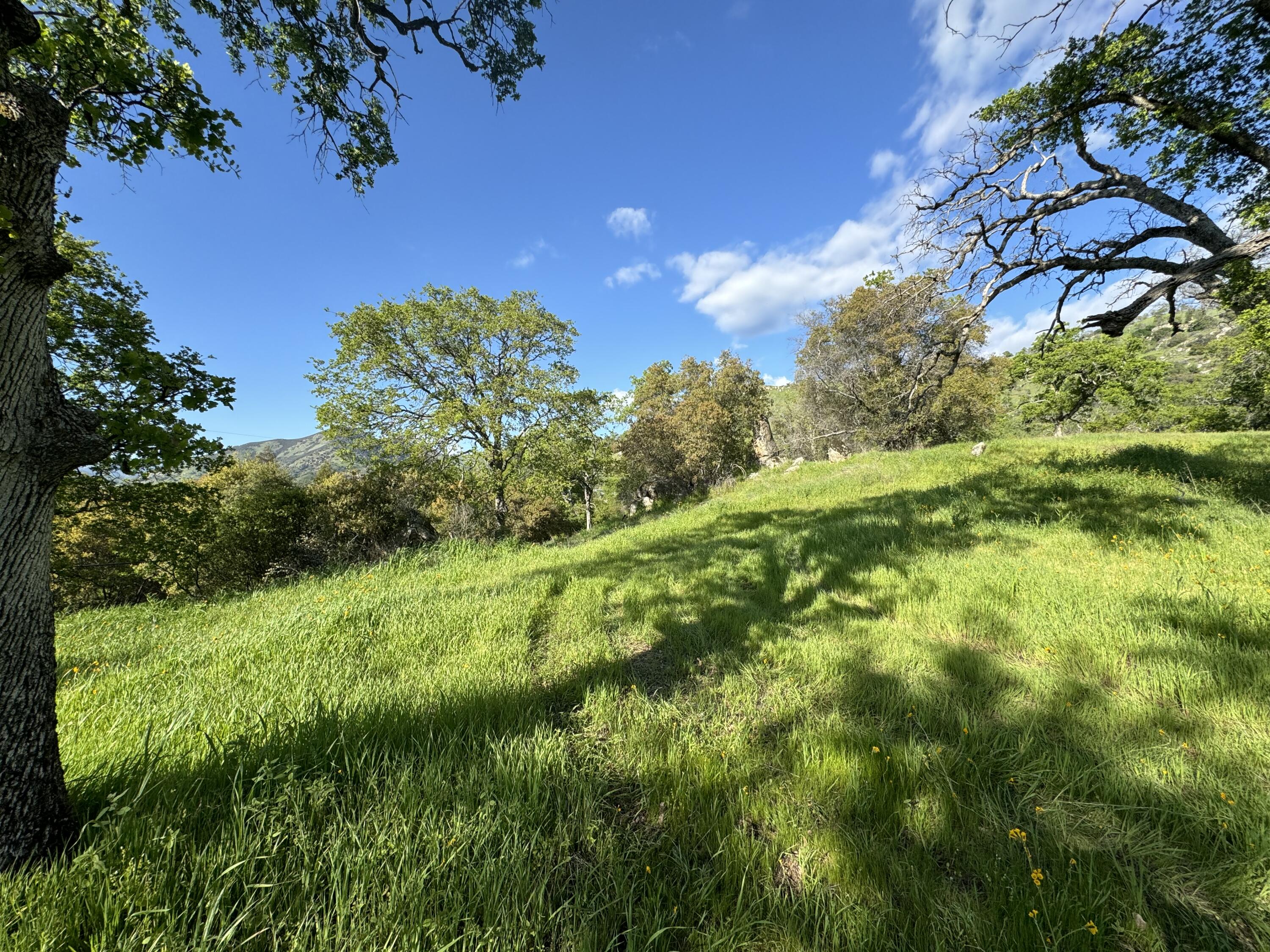 0 Mynatt Dr, Three Rivers, CA 93271