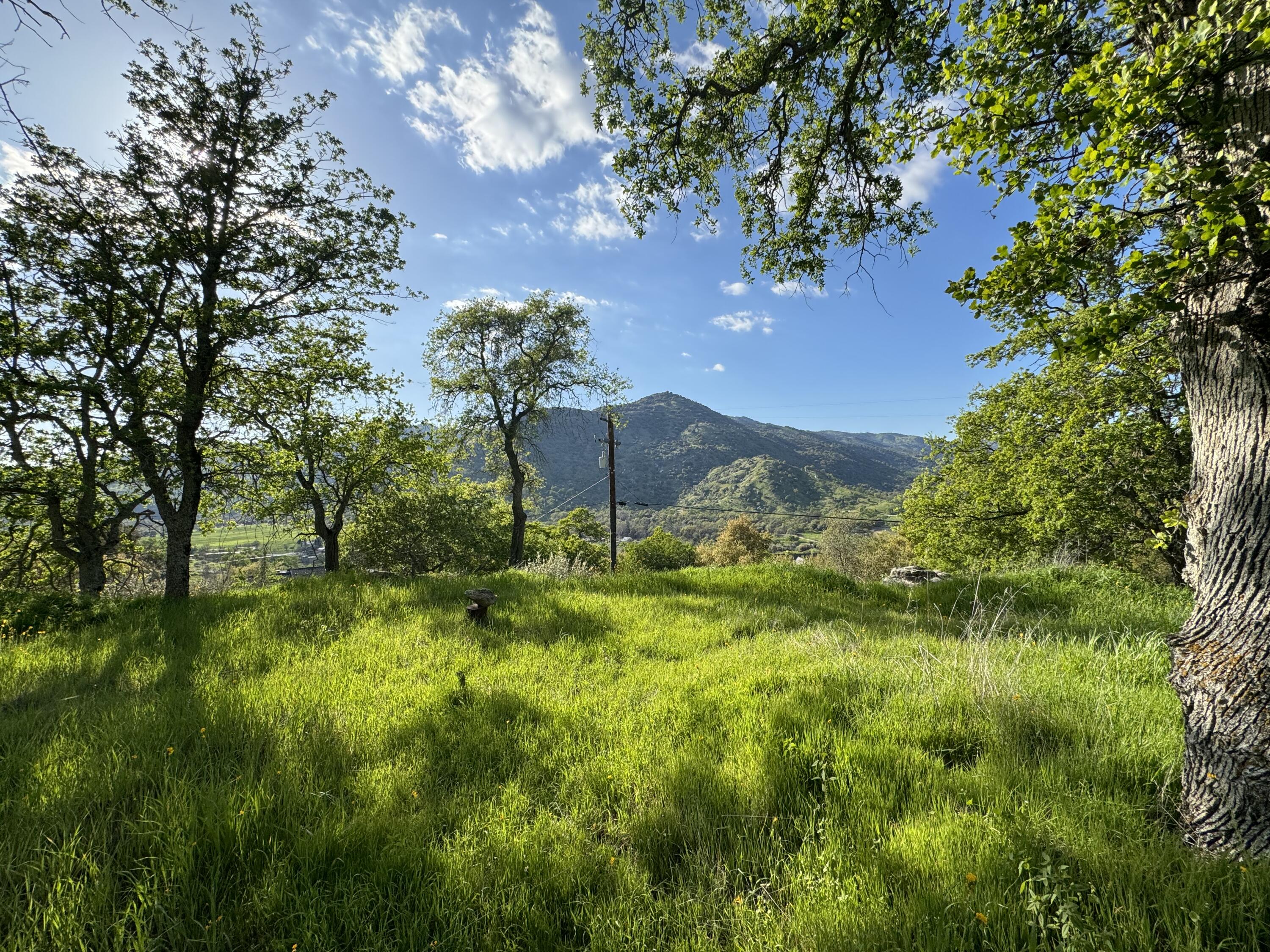 0 Mynatt Dr, Three Rivers, CA 93271