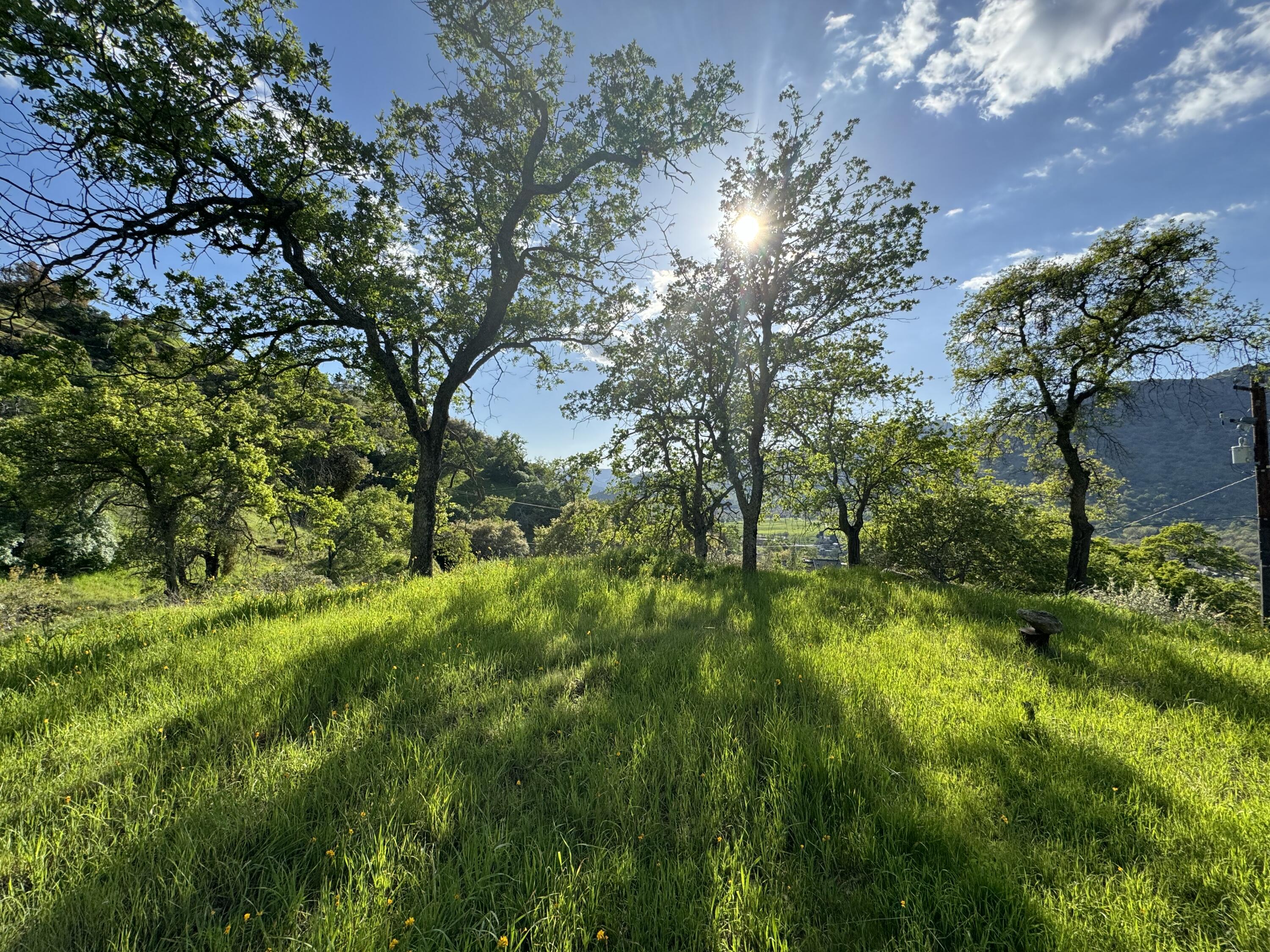 0 Mynatt Dr, Three Rivers, CA 93271