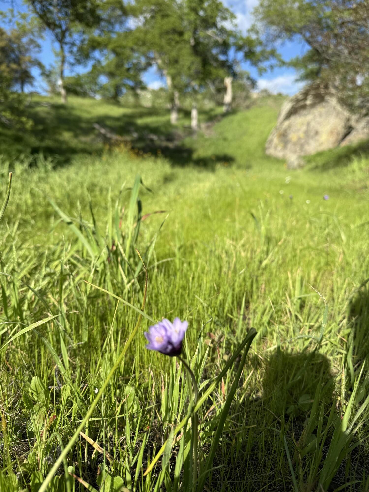 0 Mynatt Dr, Three Rivers, CA 93271