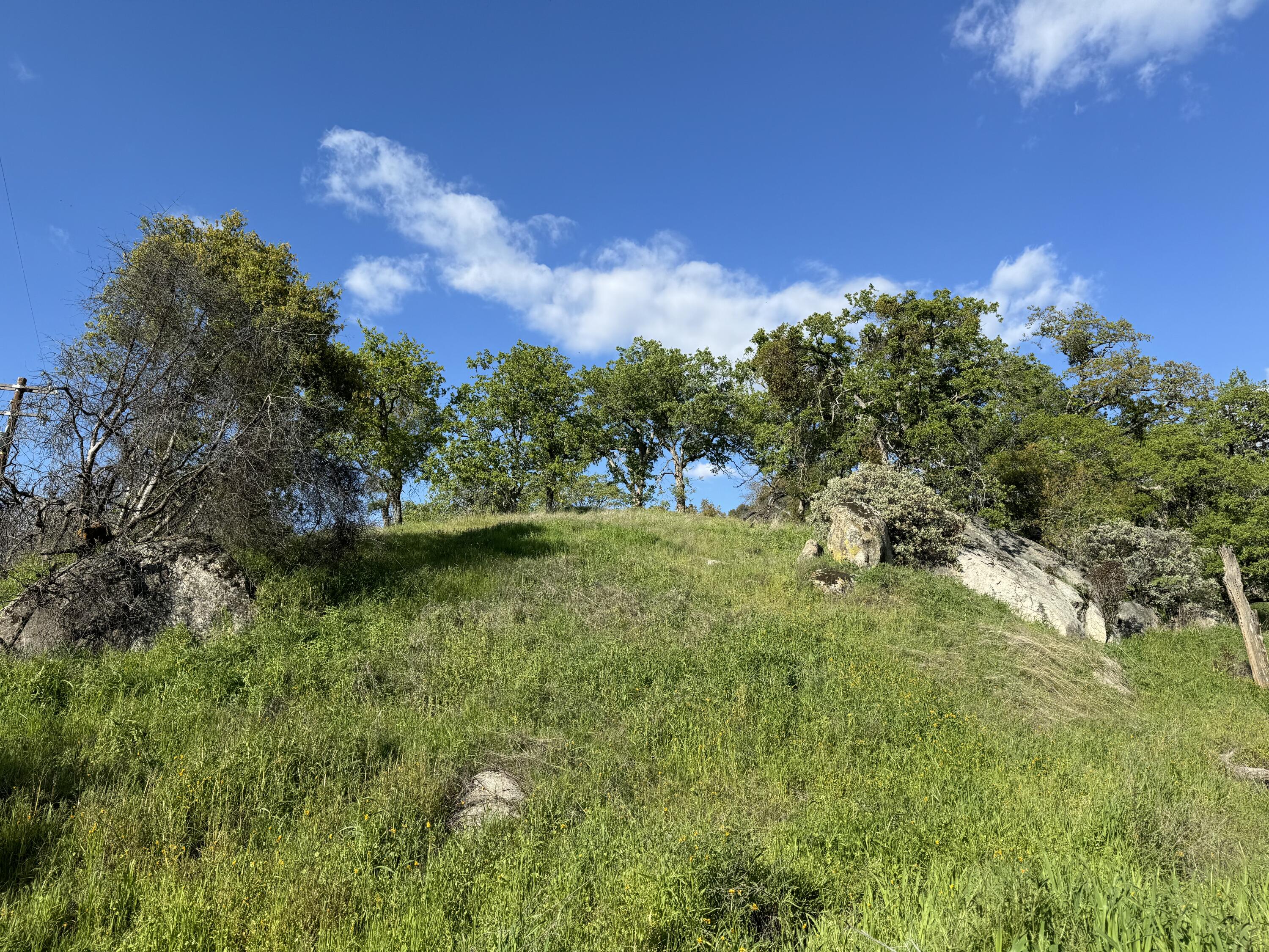 0 Mynatt Dr, Three Rivers, CA 93271