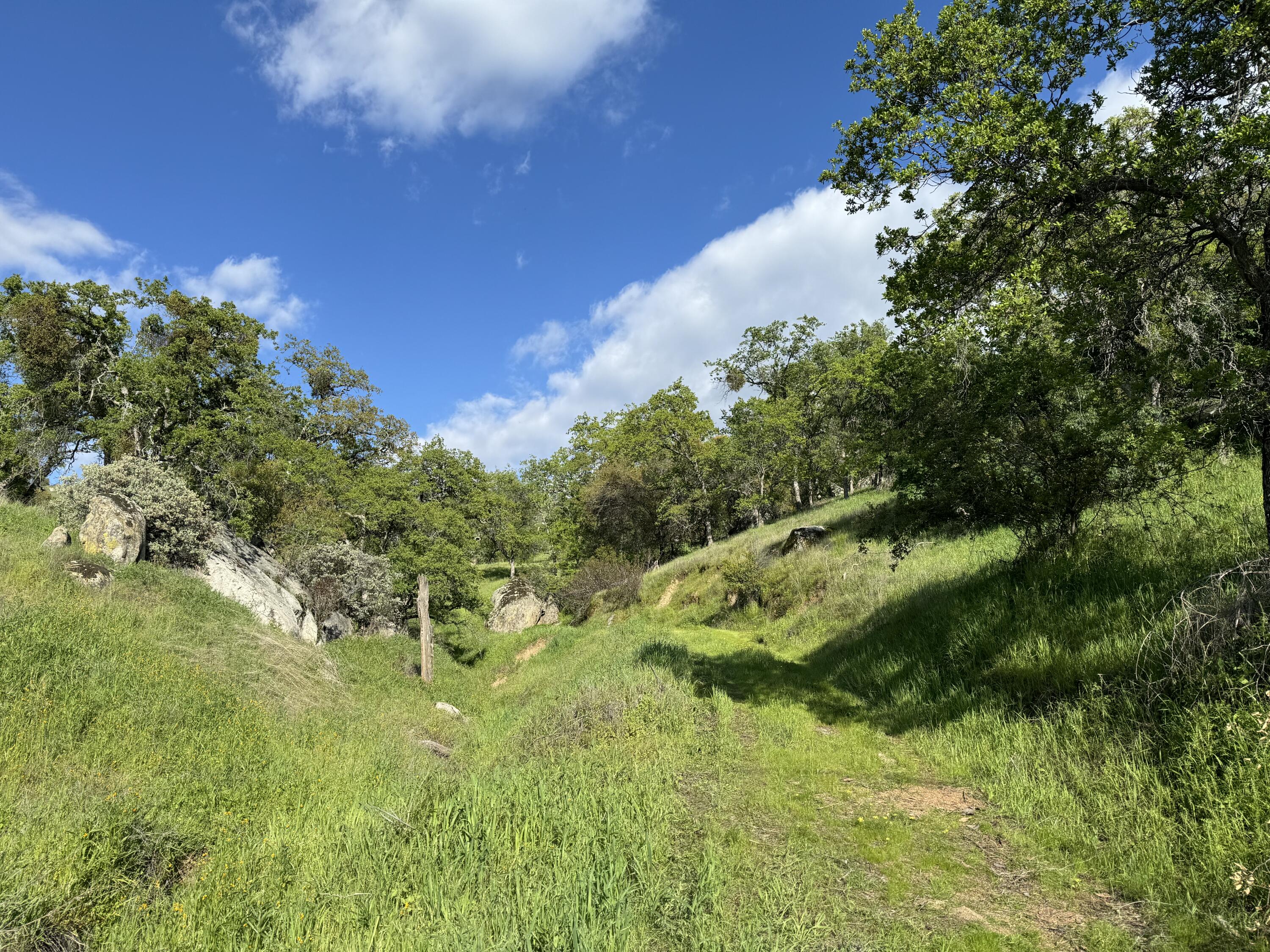 0 Mynatt Dr, Three Rivers, CA 93271