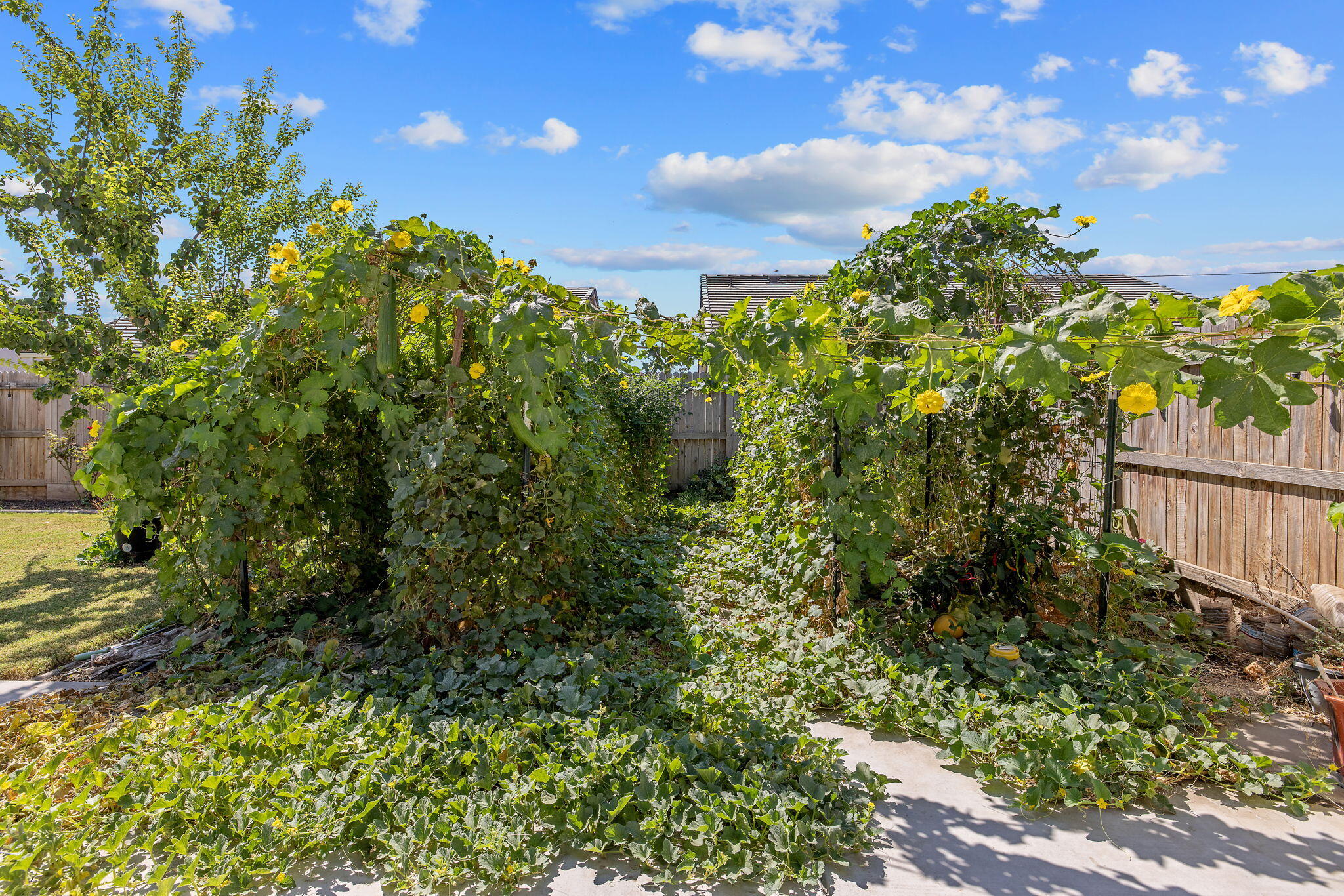 3043 Parks Ave, Tulare, CA 93274