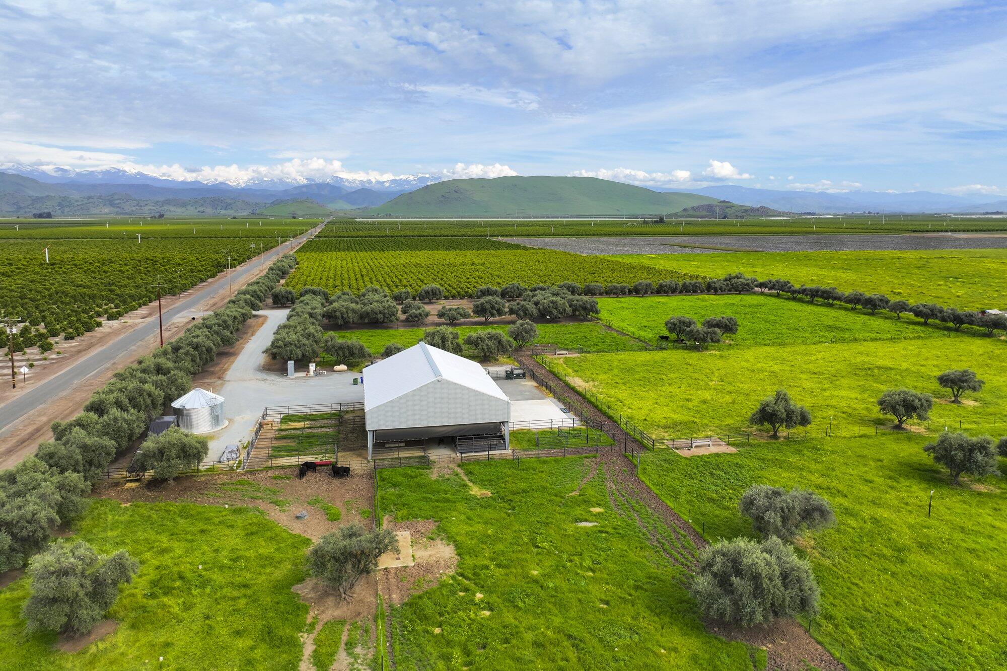 15725 Ave 376, Visalia, CA 93292