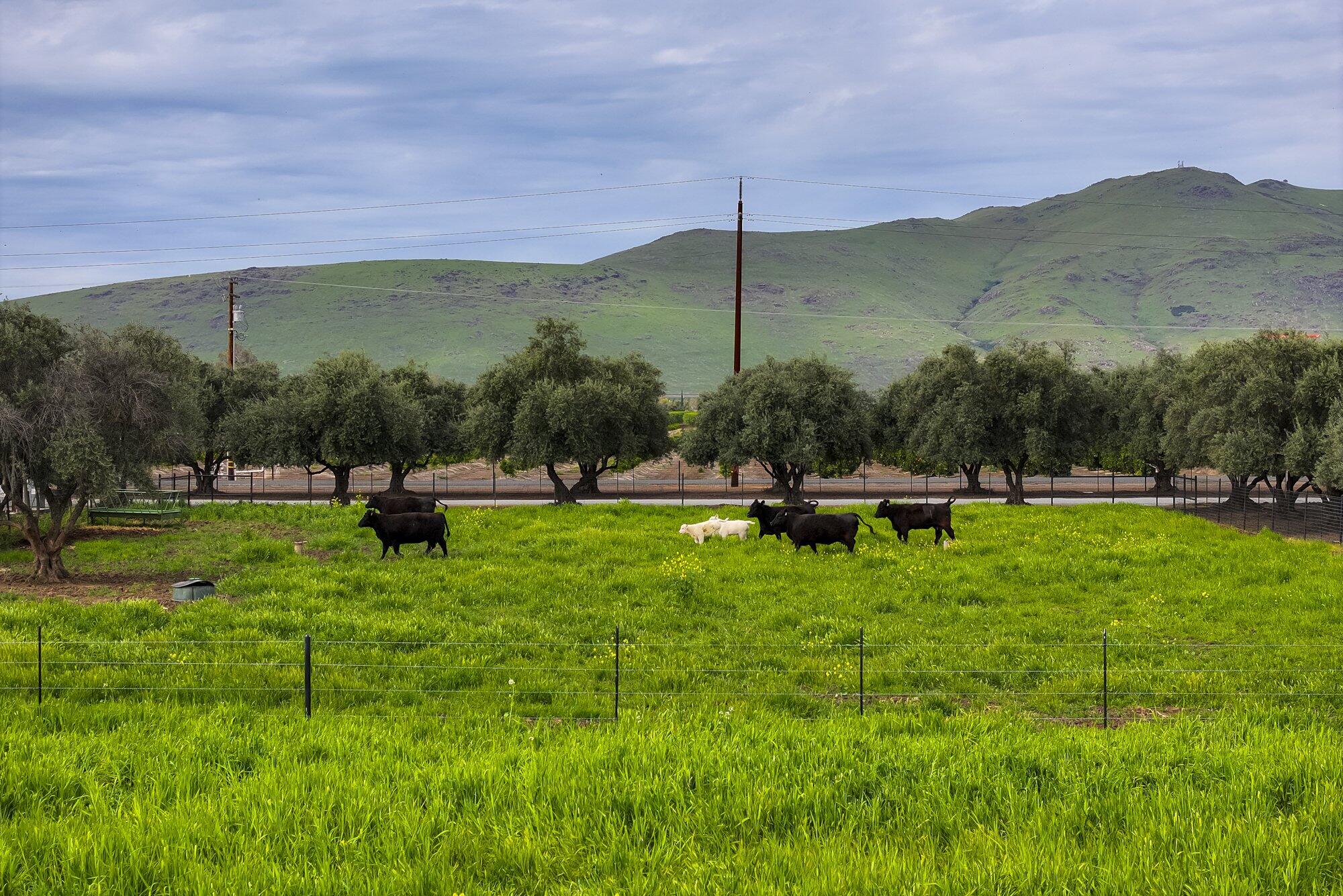 15725 Ave 376, Visalia, CA 93292