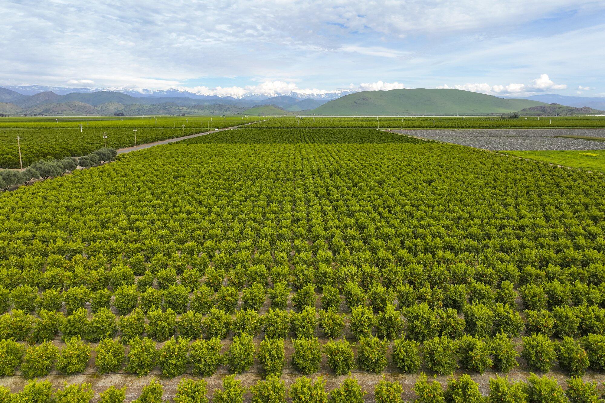 15725 Ave 376, Visalia, CA 93292