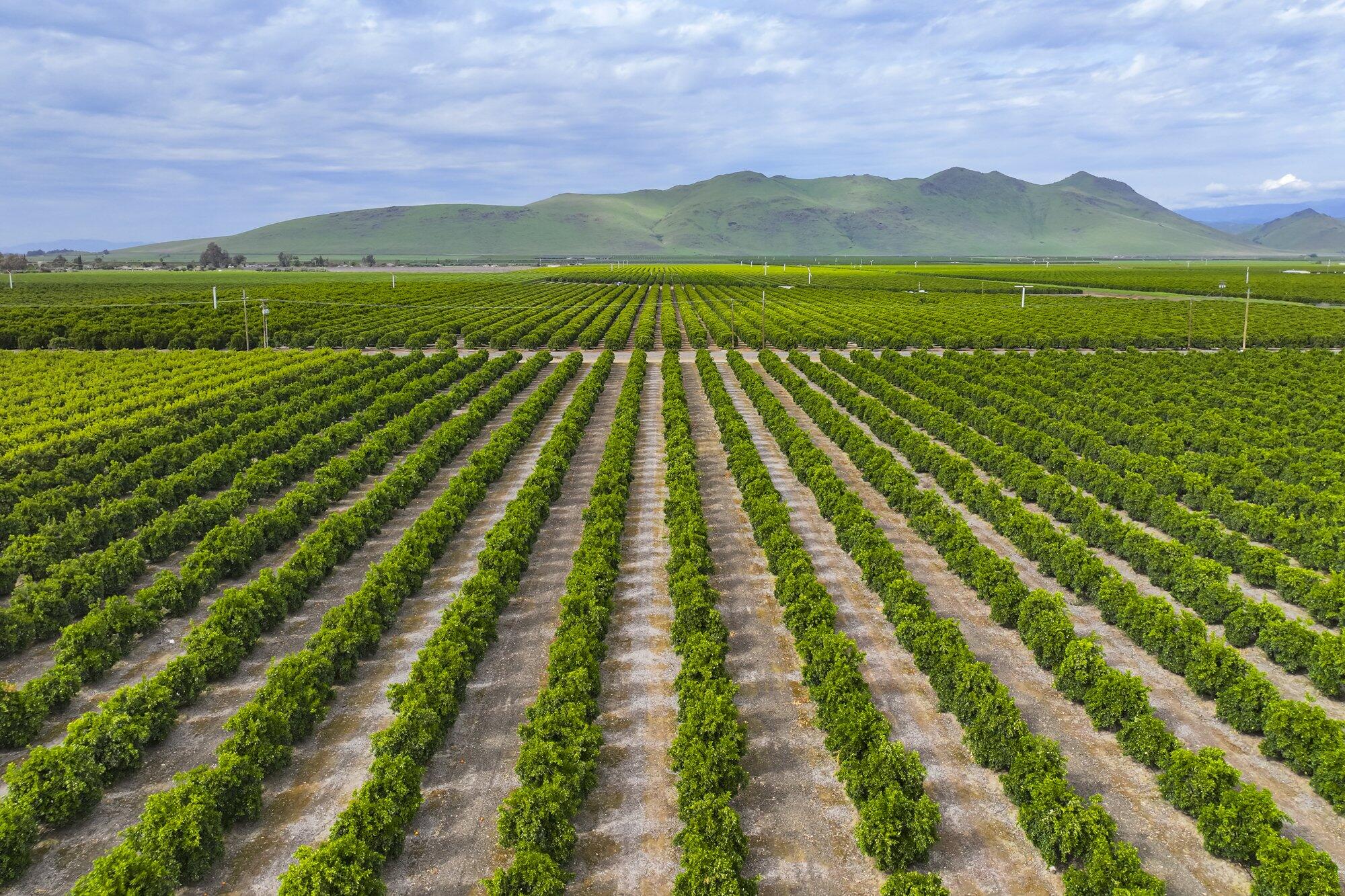 15725 Ave 376, Visalia, CA 93292