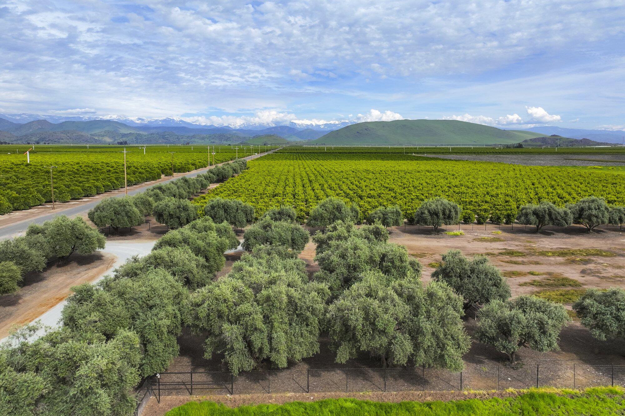 15725 Ave 376, Visalia, CA 93292