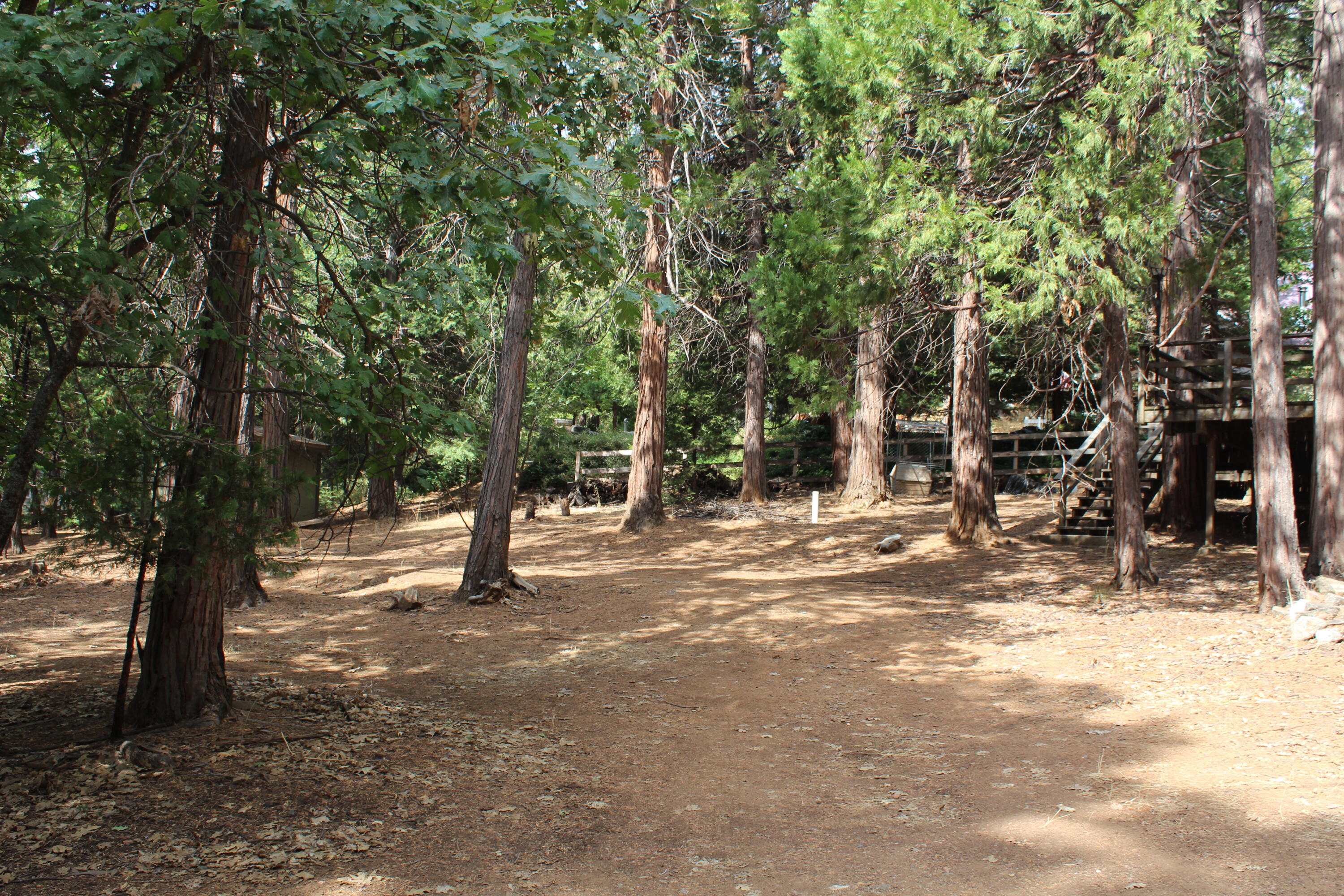 603 Legar Dr, Camp Nelson, CA 93265