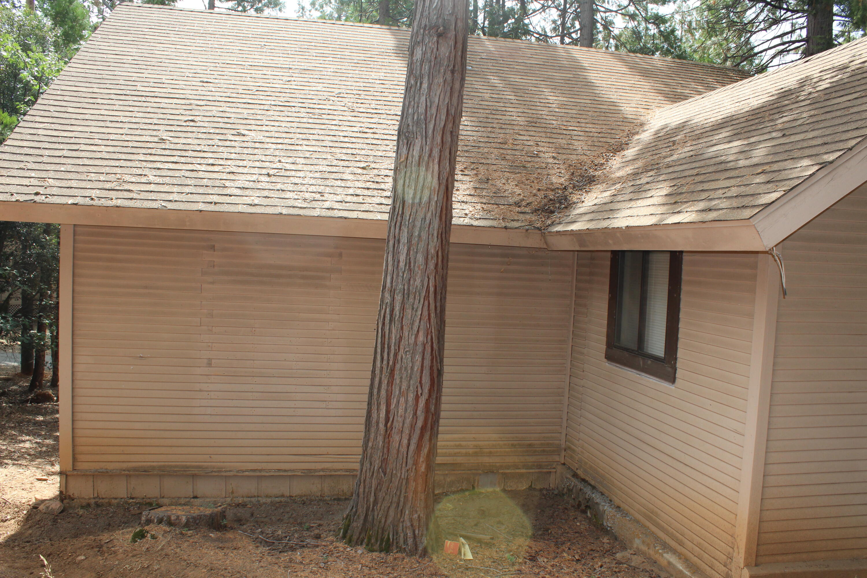 603 Legar Dr, Camp Nelson, CA 93265