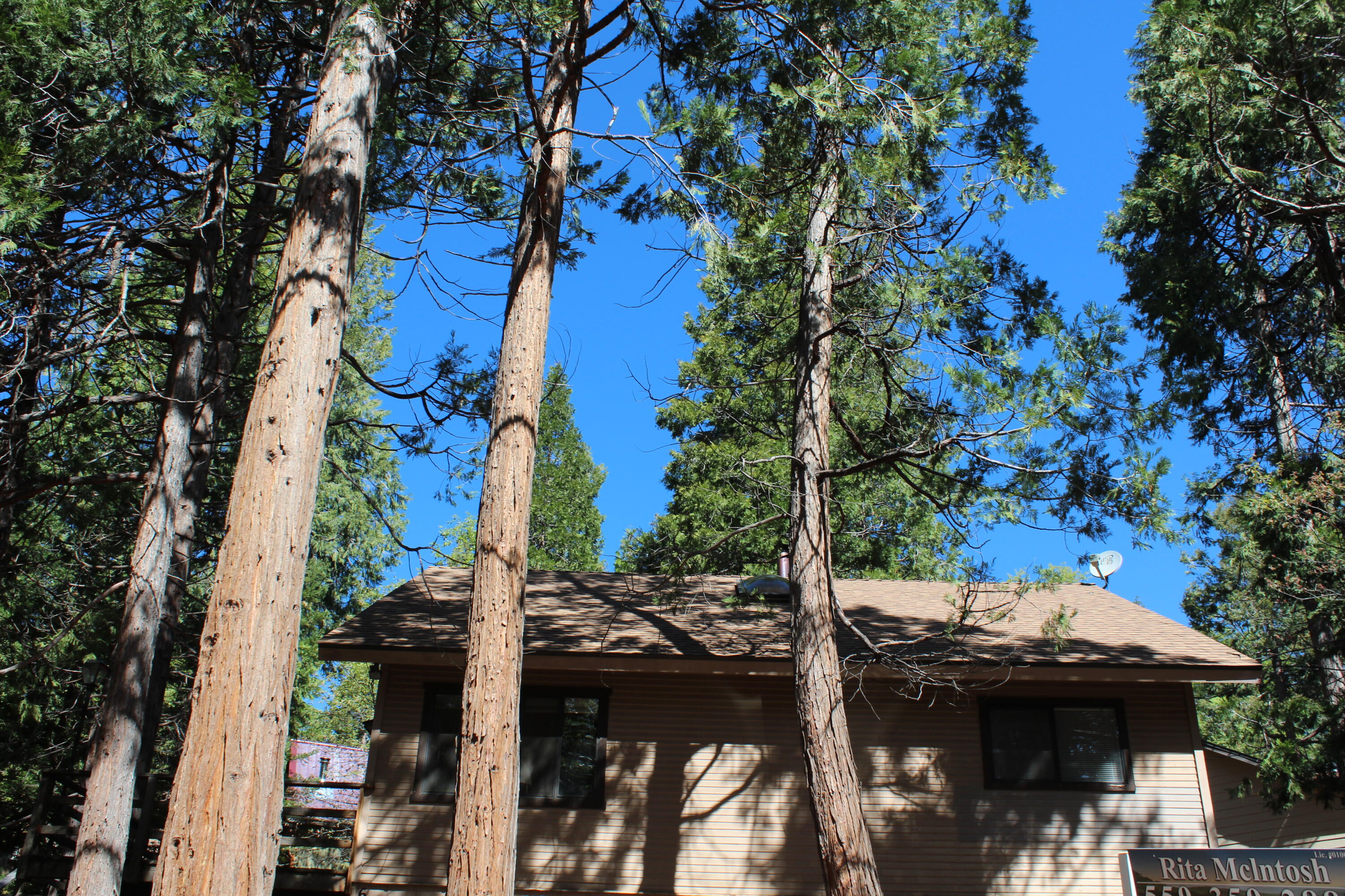 603 Legar Dr, Camp Nelson, CA 93265