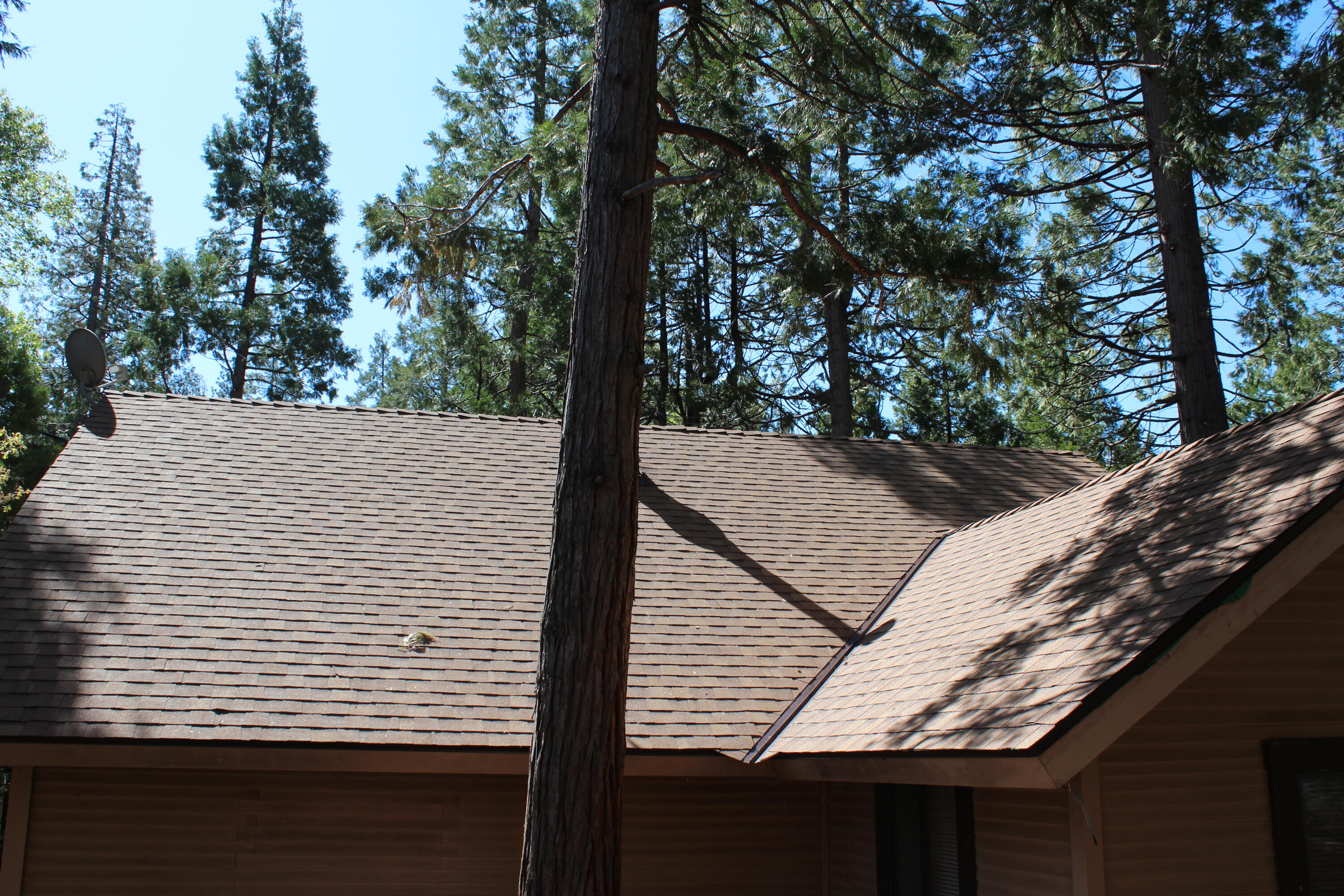 603 Legar Dr, Camp Nelson, CA 93265