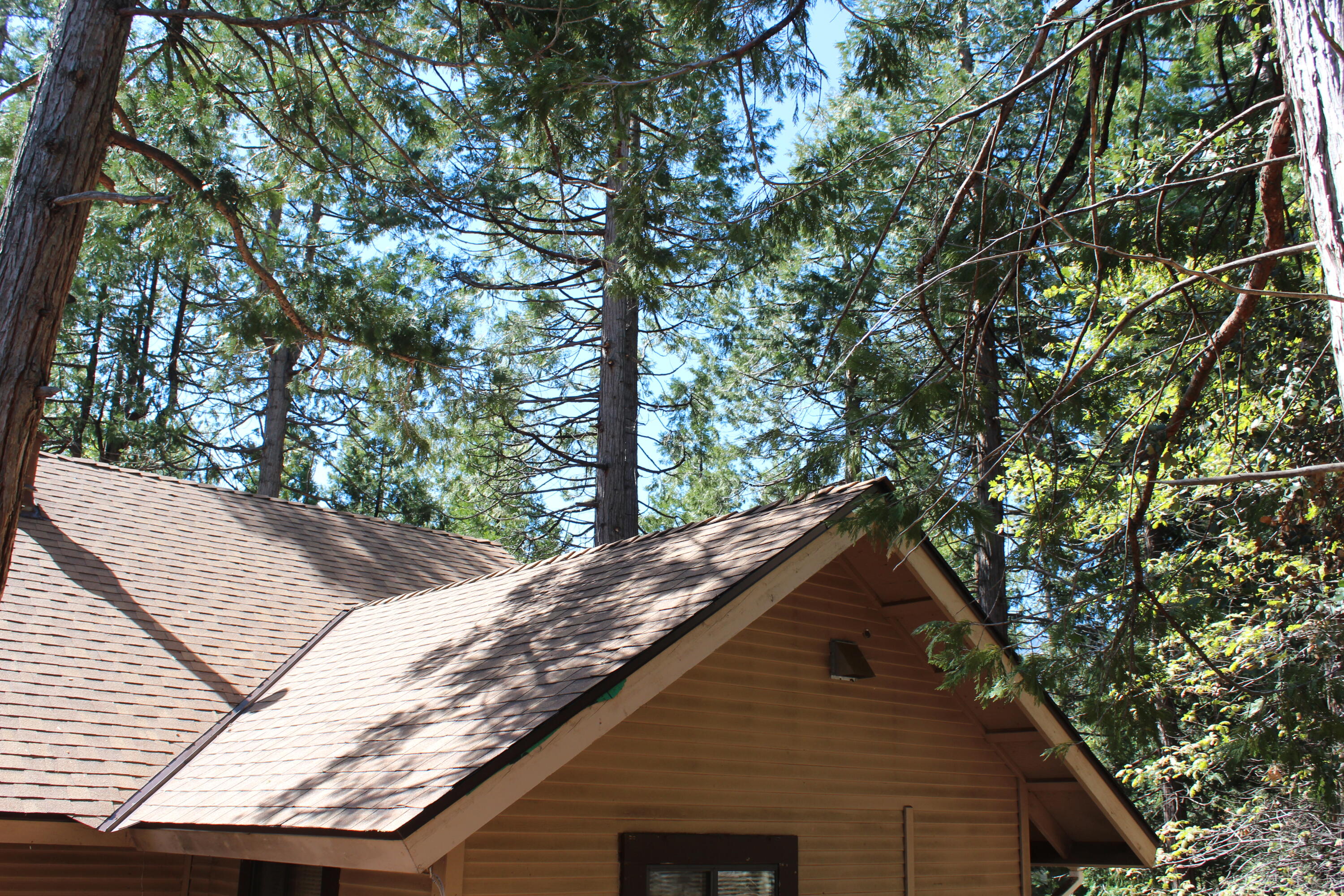 603 Legar Dr, Camp Nelson, CA 93265