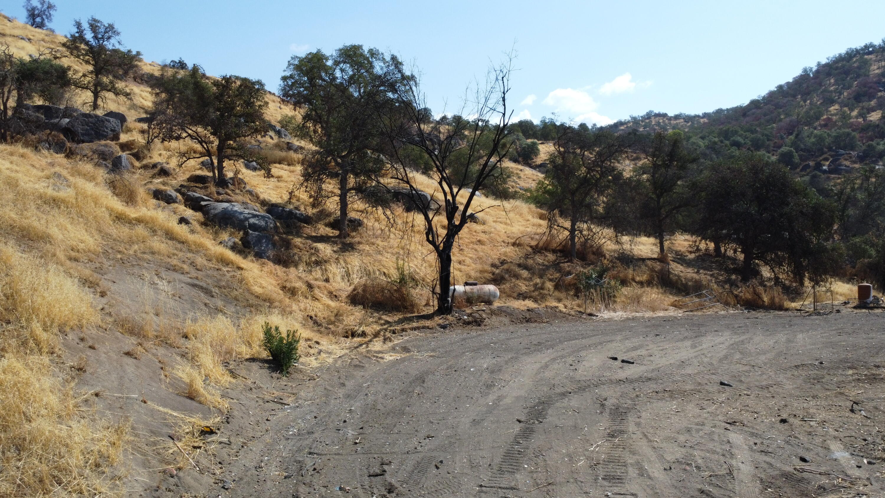 38938 Pepperweed Rd, Yokuts Valley, CA 93675