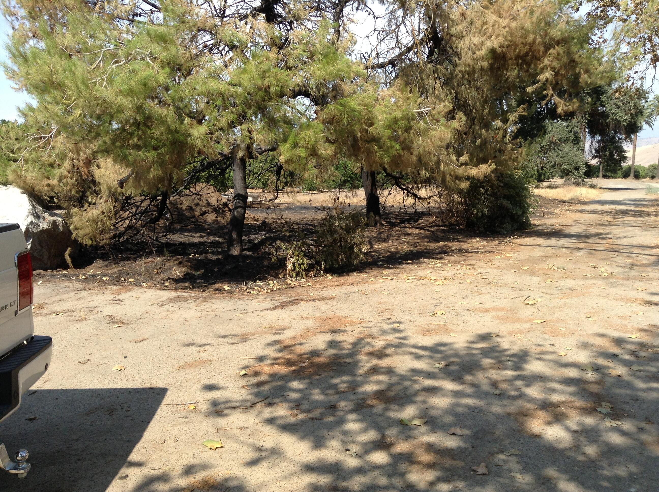 20934 Ave 296, Exeter, CA 93221