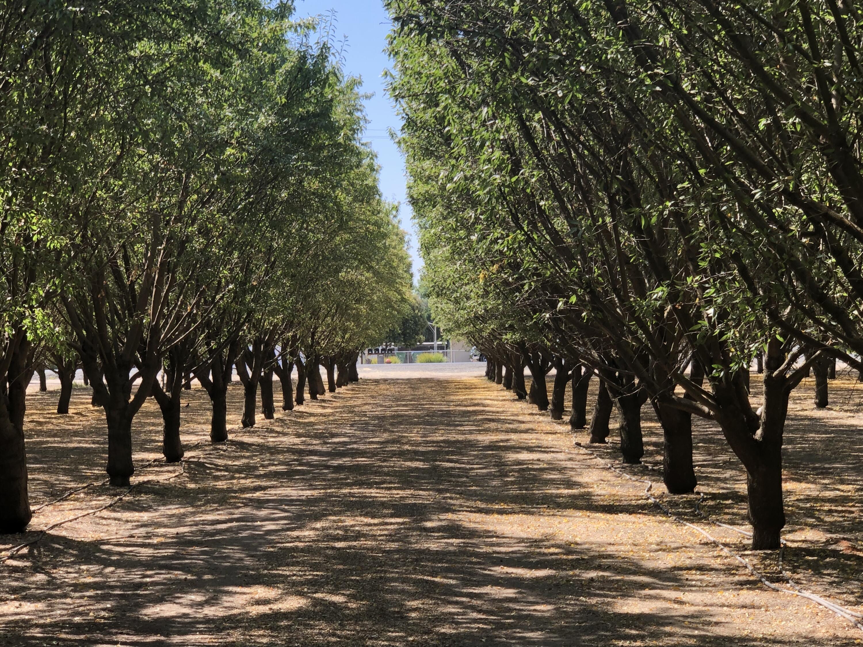 000 W Marinette Ave, Exeter, CA 93221