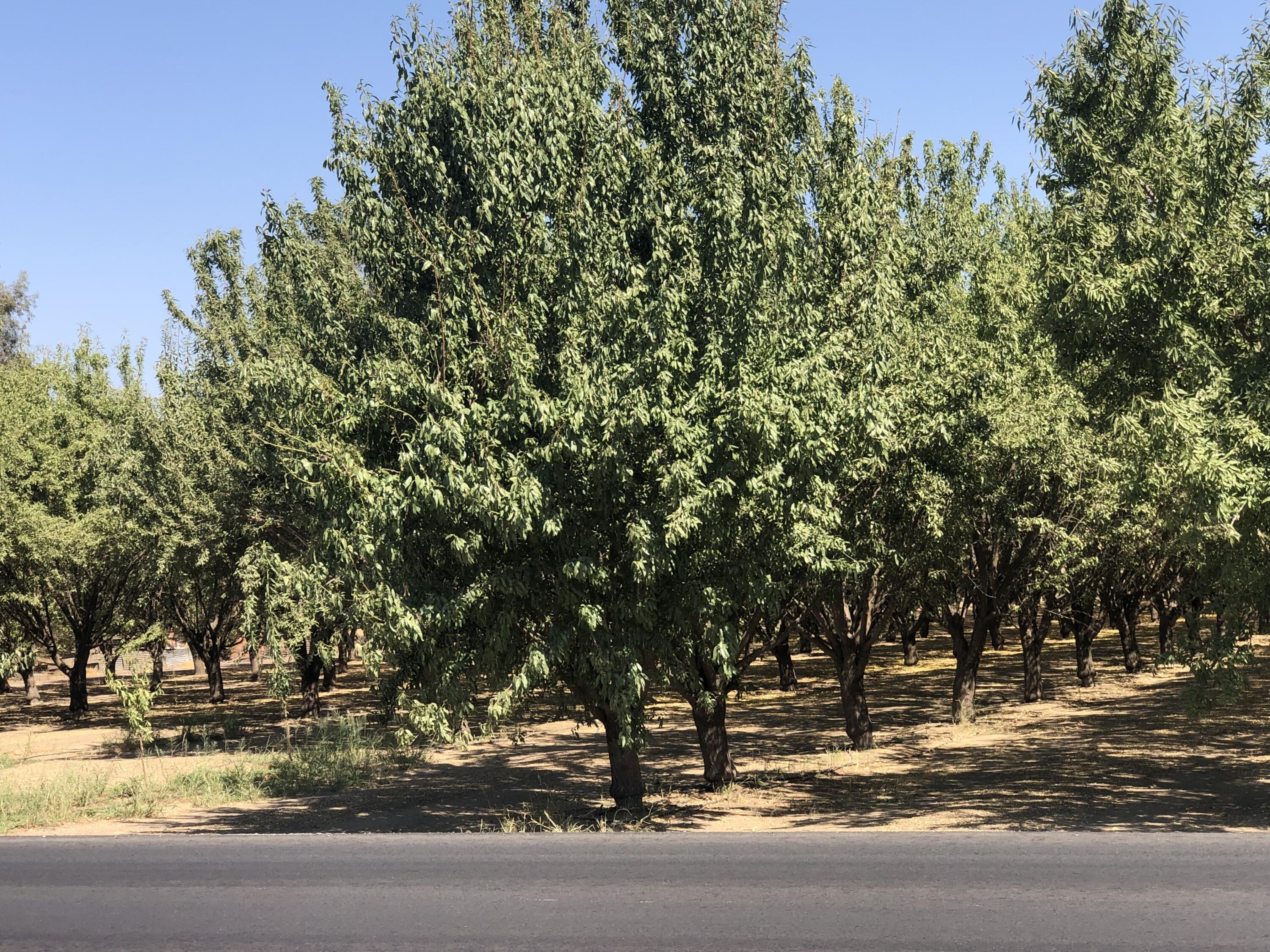 000 W Marinette Ave, Exeter, CA 93221