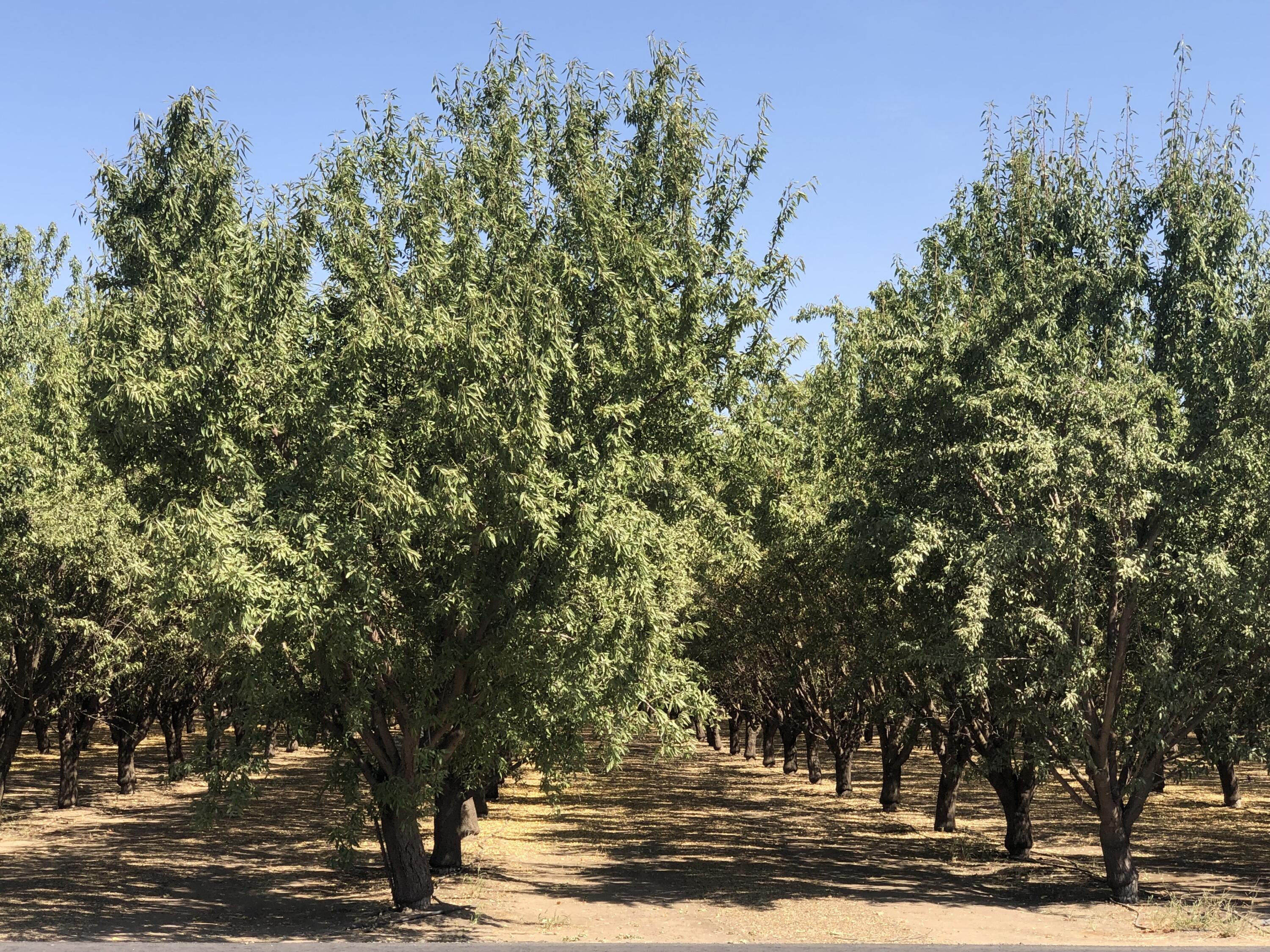 000 W Marinette Ave, Exeter, CA 93221