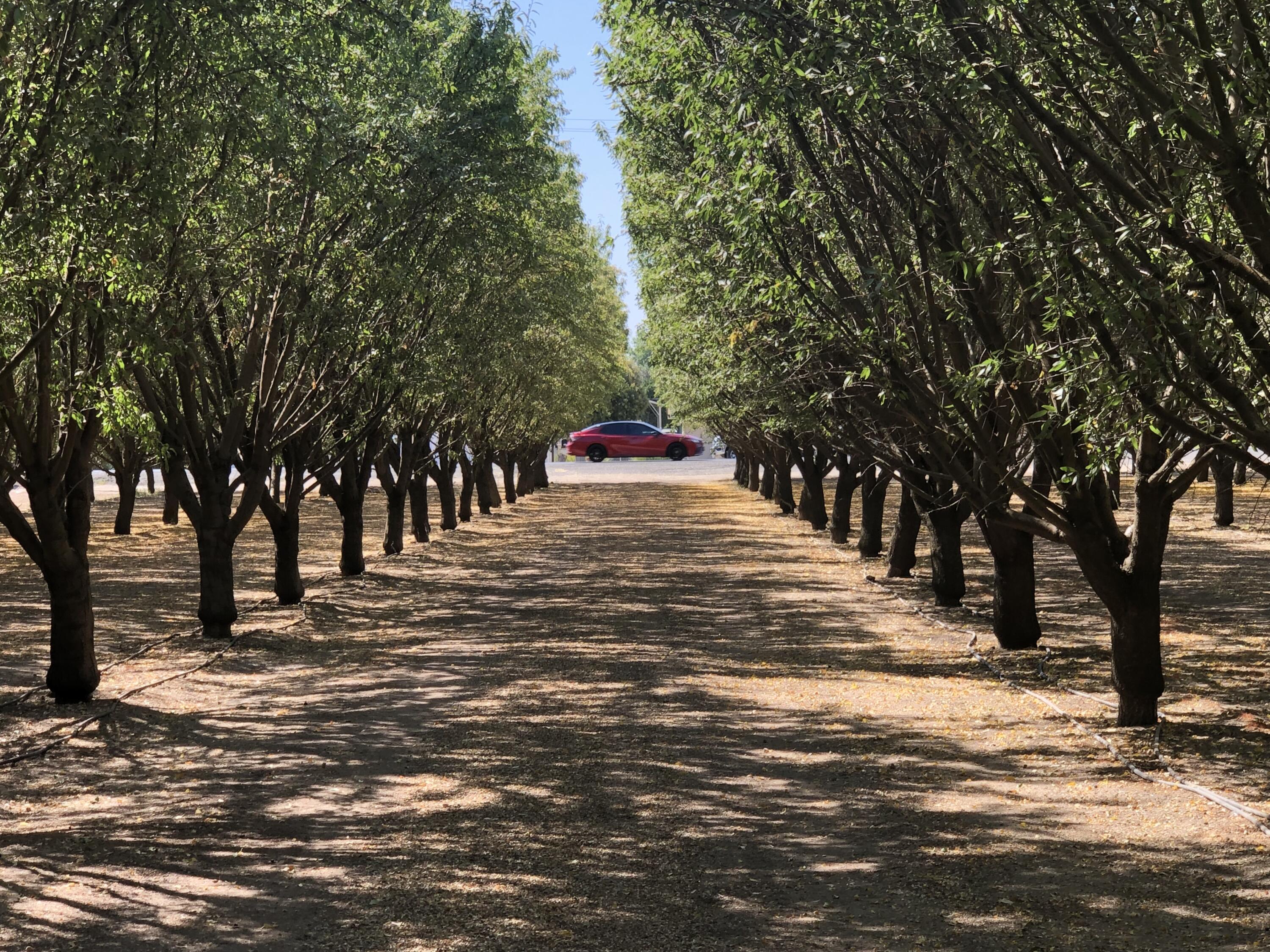 000 W Marinette Ave, Exeter, CA 93221