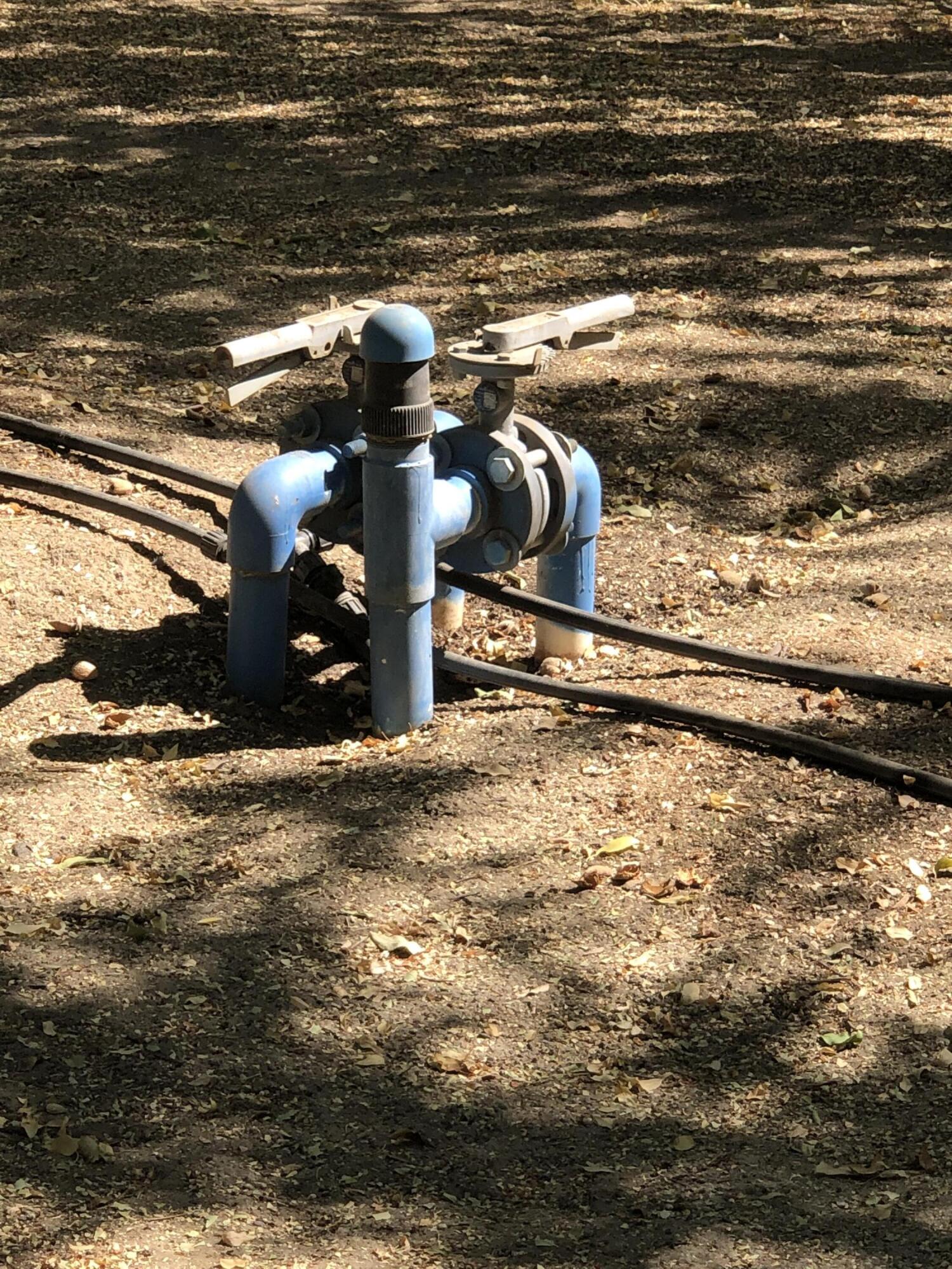 000 W Marinette Ave, Exeter, CA 93221