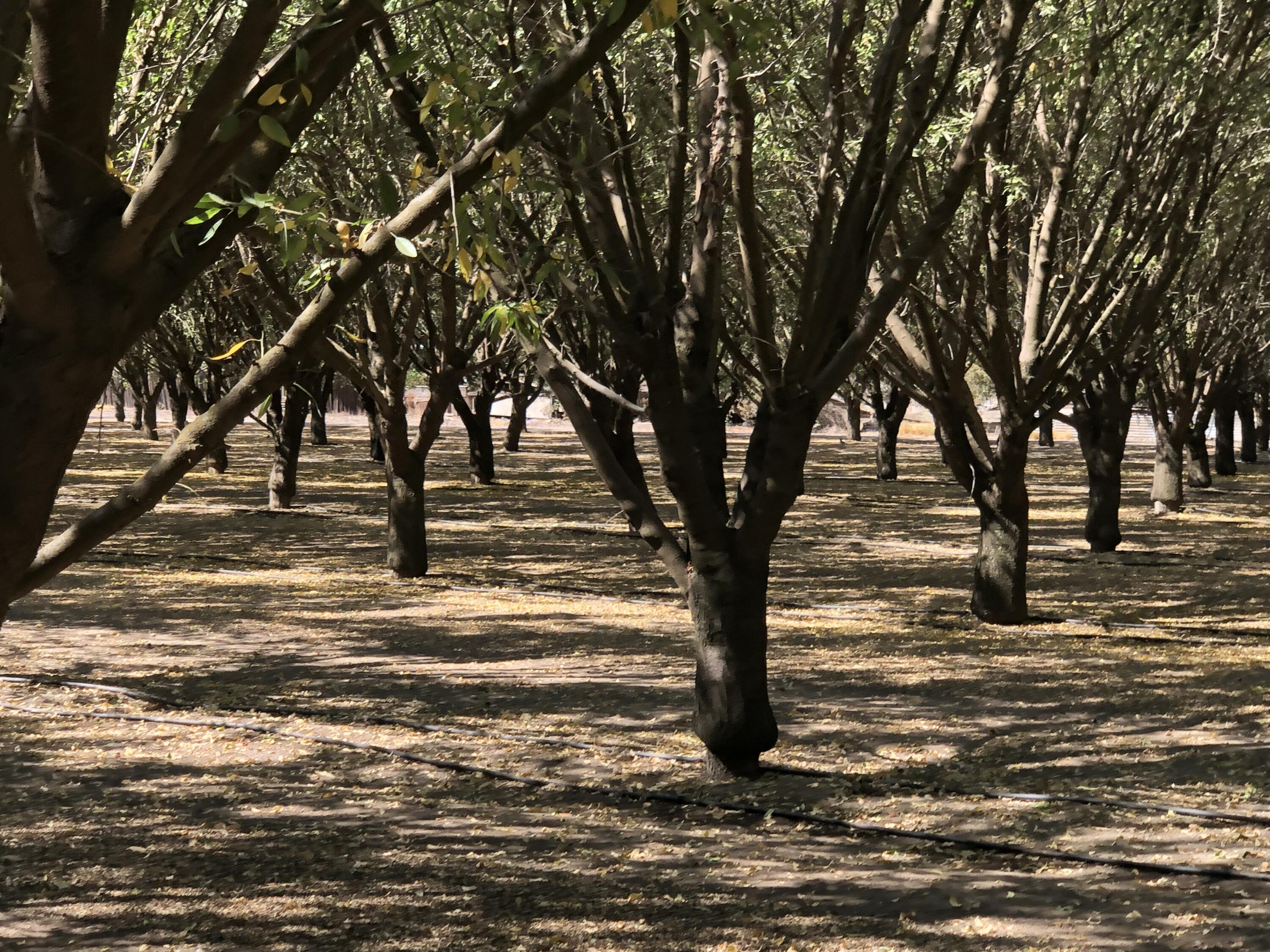 000 W Marinette Ave, Exeter, CA 93221