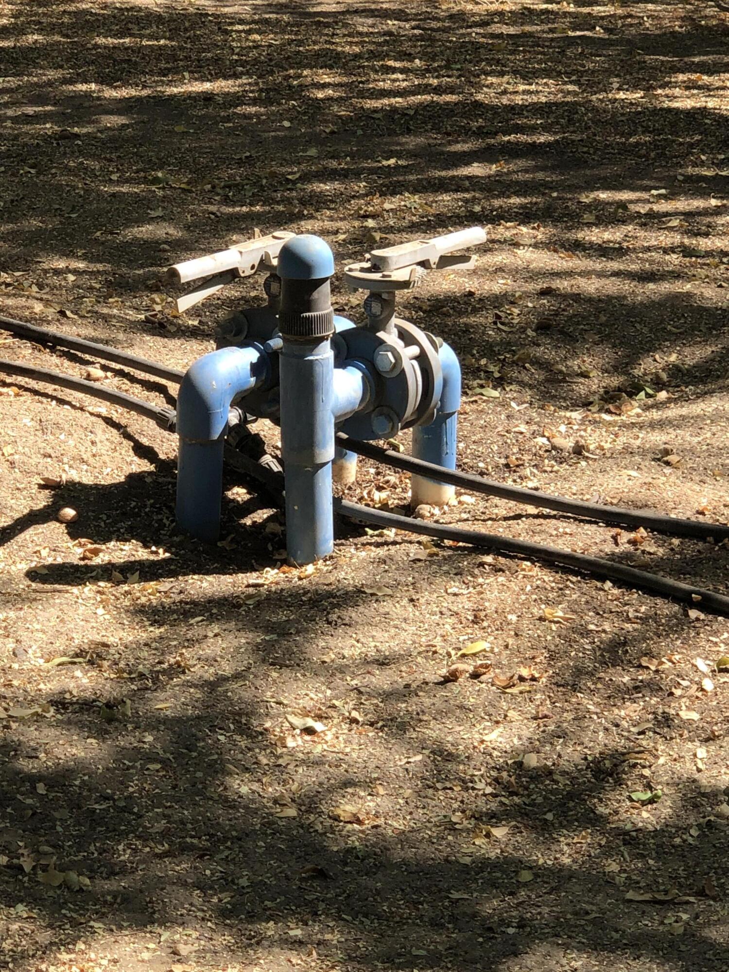 000 W Marinette Ave, Exeter, CA 93221