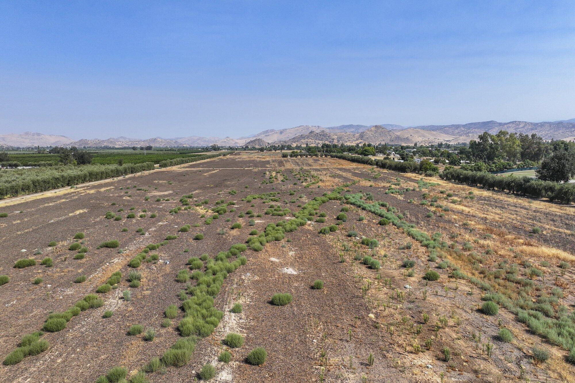 0 Naranjo Ave, Woodlake, CA 93286