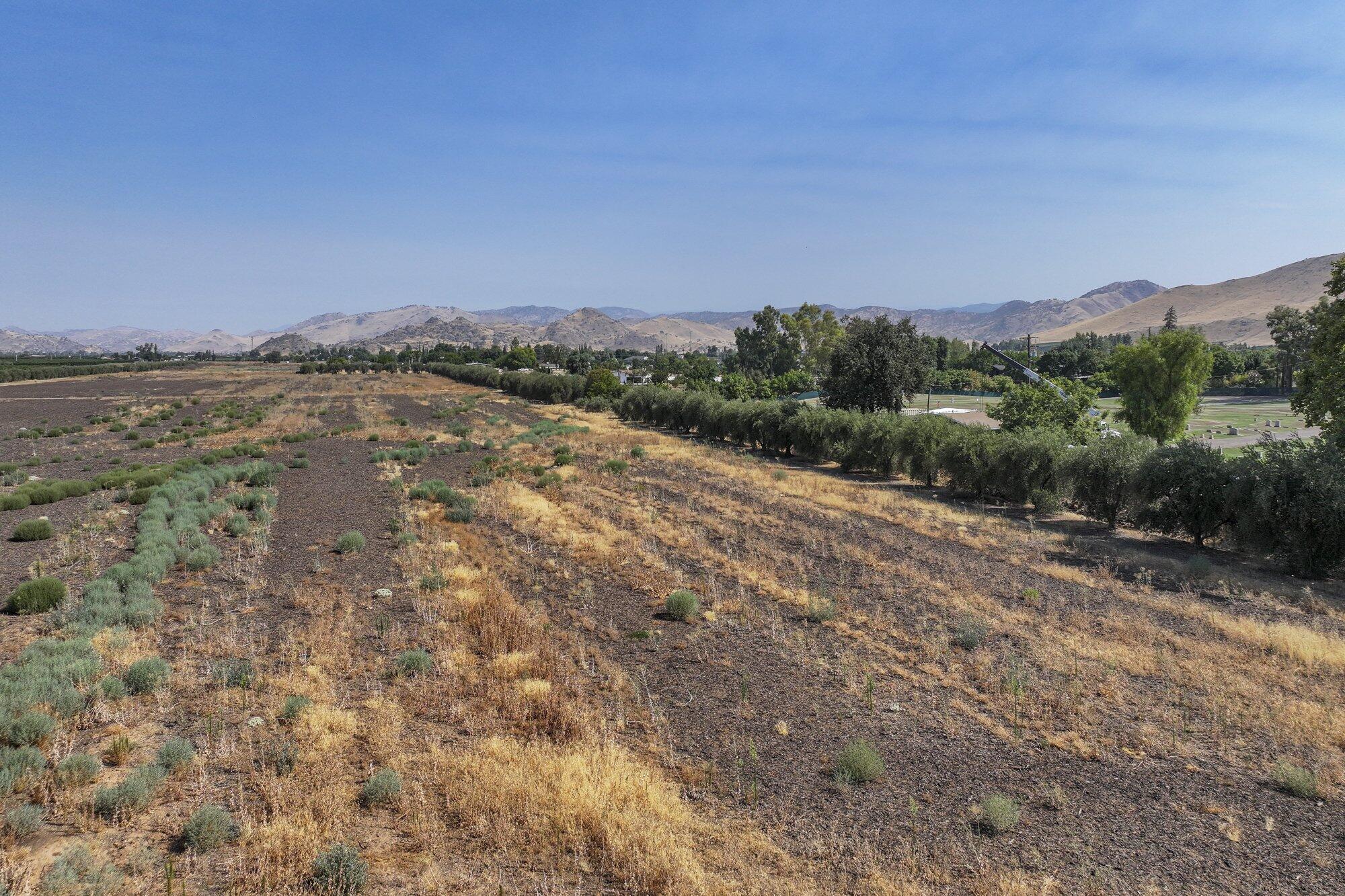 0 Naranjo Ave, Woodlake, CA 93286