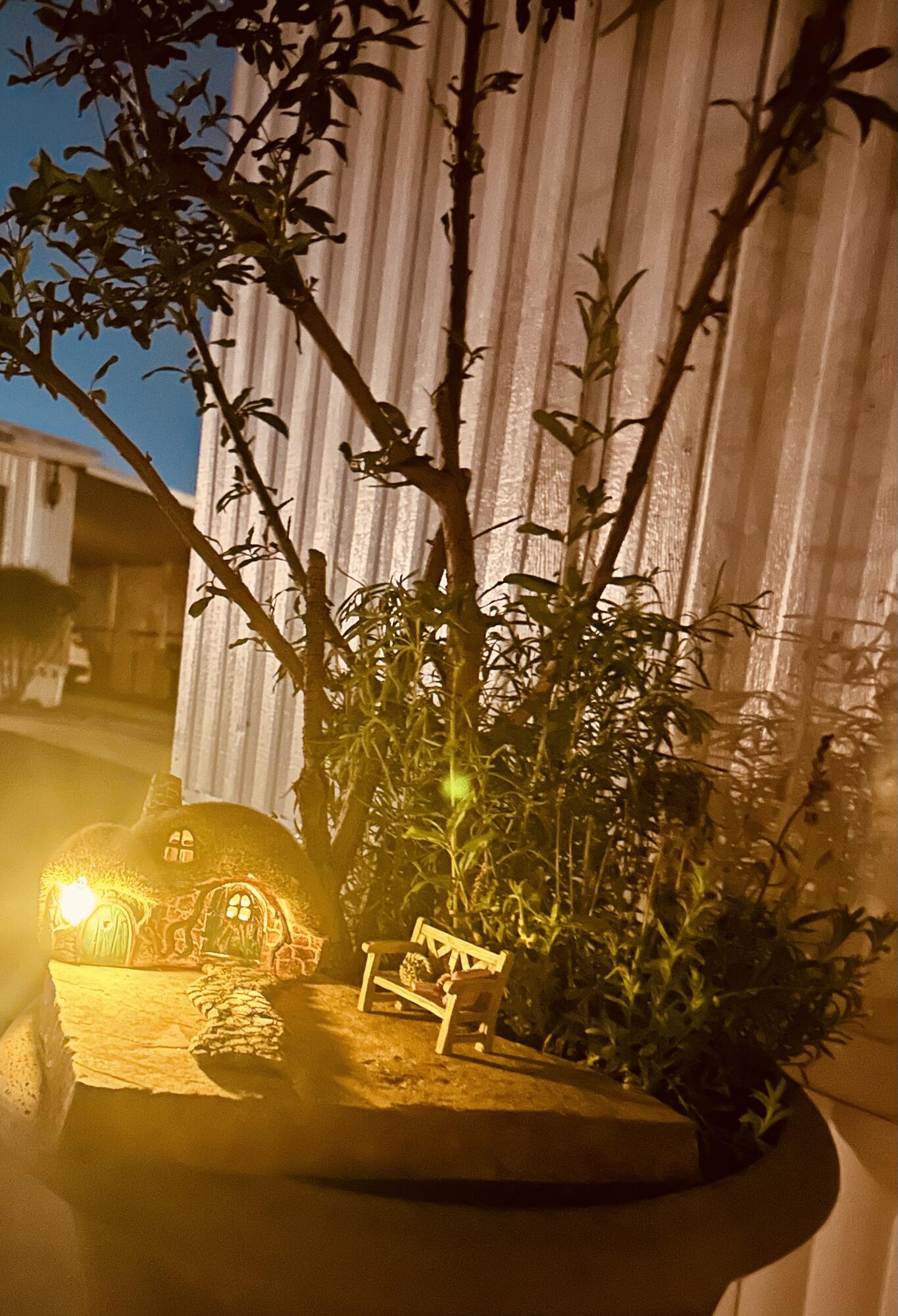 225 N Akers Rd #308, Visalia, CA 93291