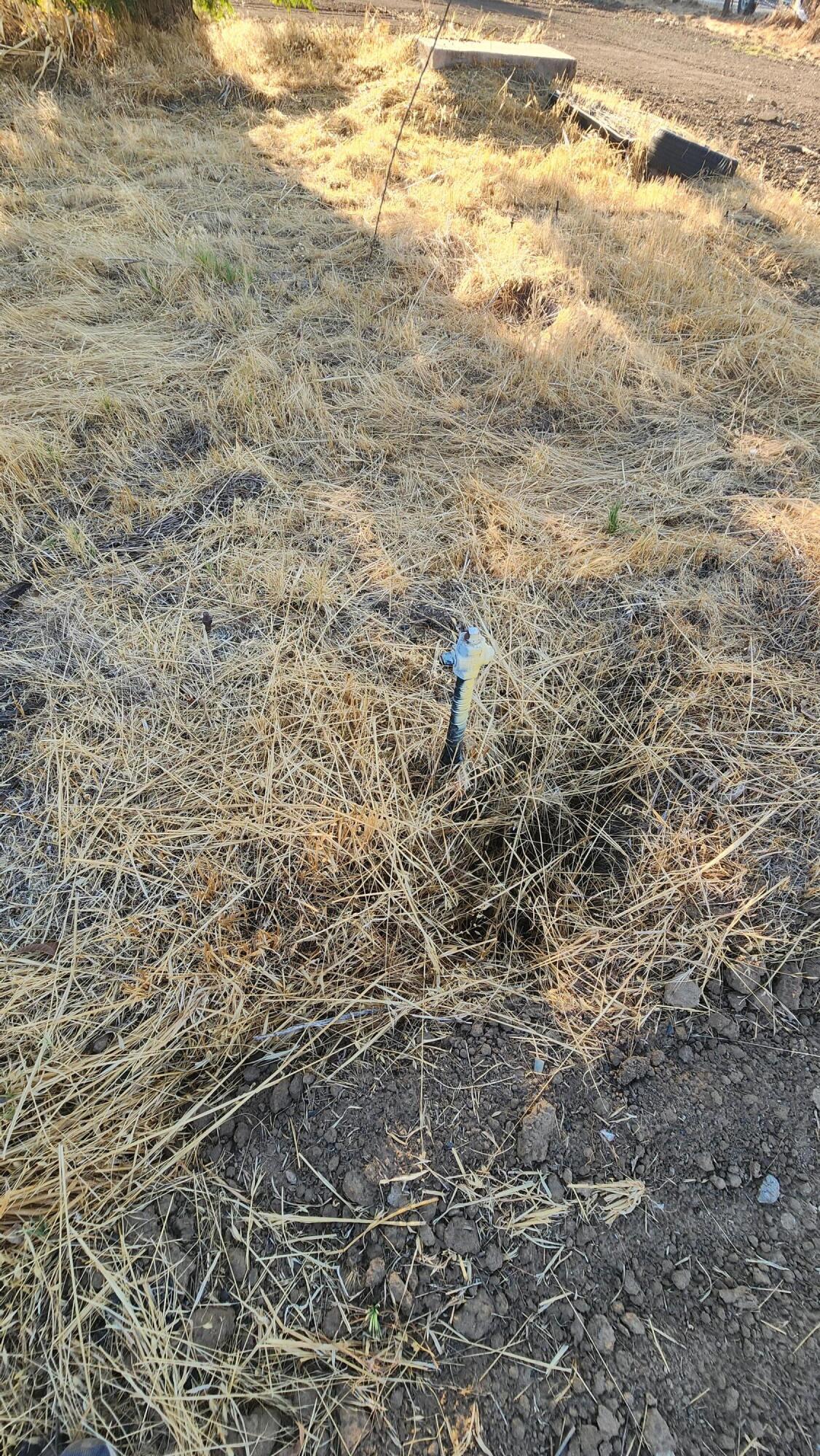 28438 13 1/2, Madera, CA 93638