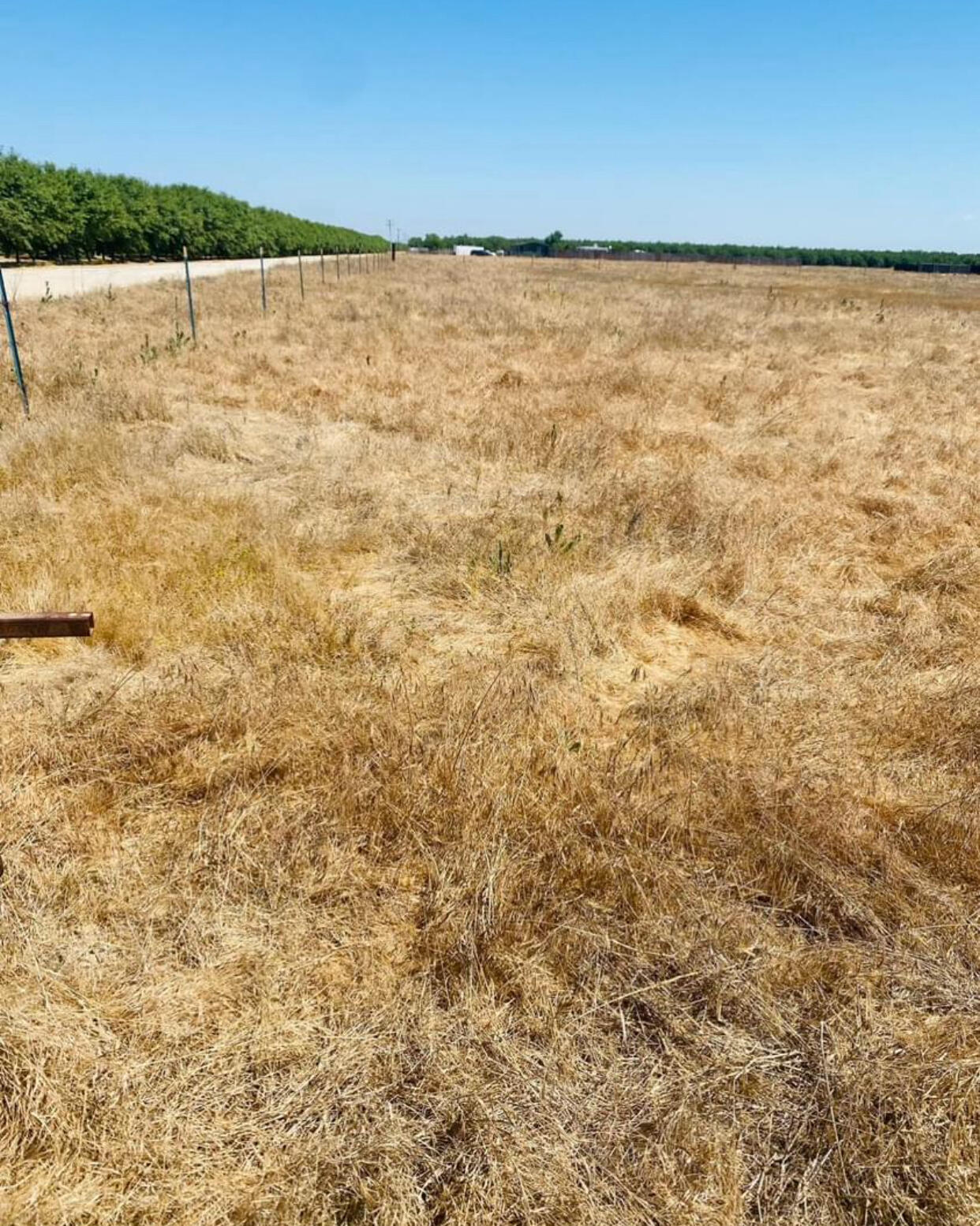 0 Rd 152, Earlimart, CA 93219