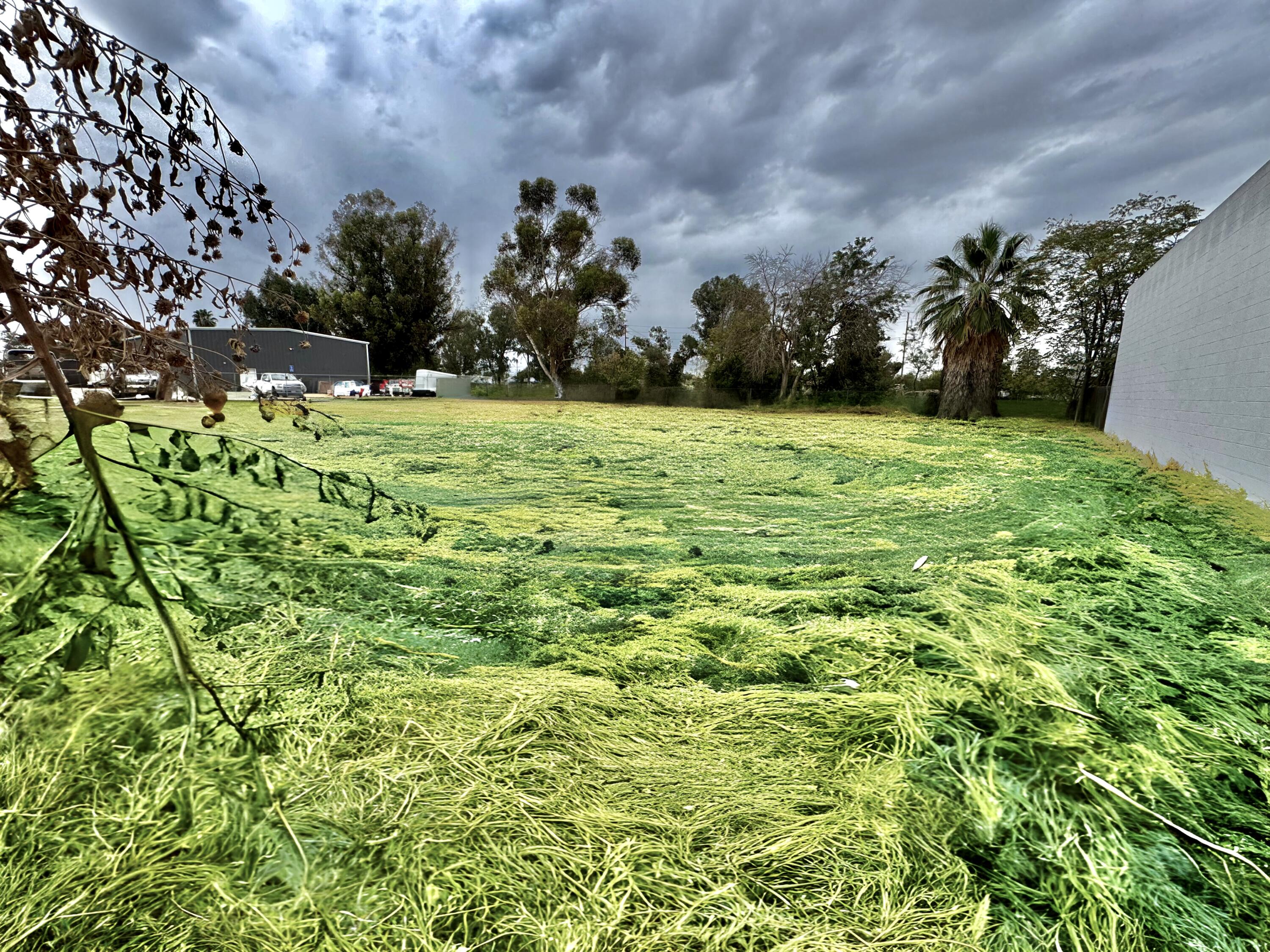 311 E 4th St, Hanford, CA 93230