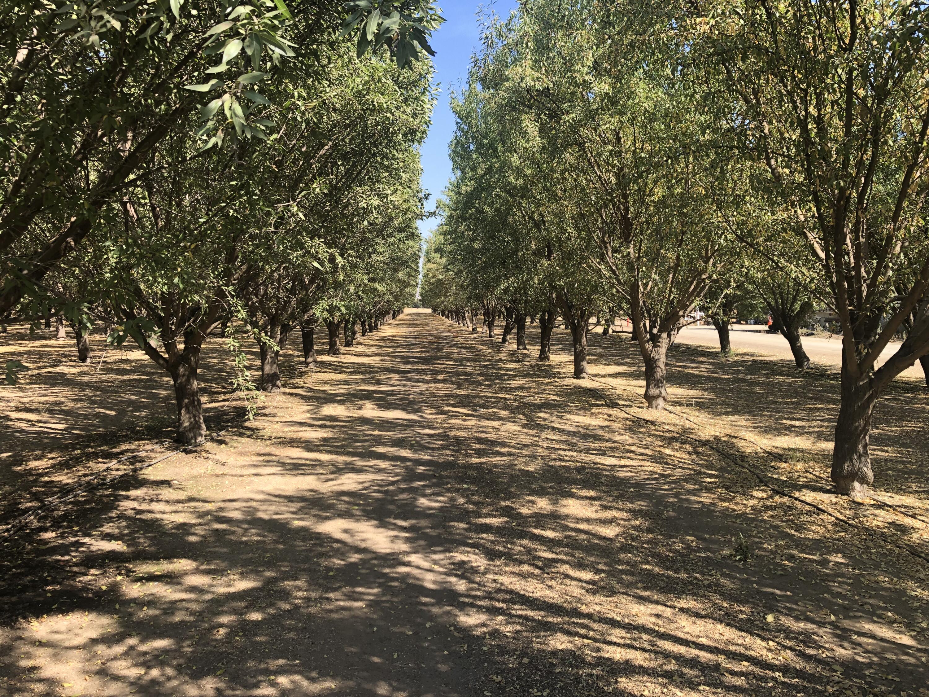 000 W Marinette Ave, Exeter, CA 93221