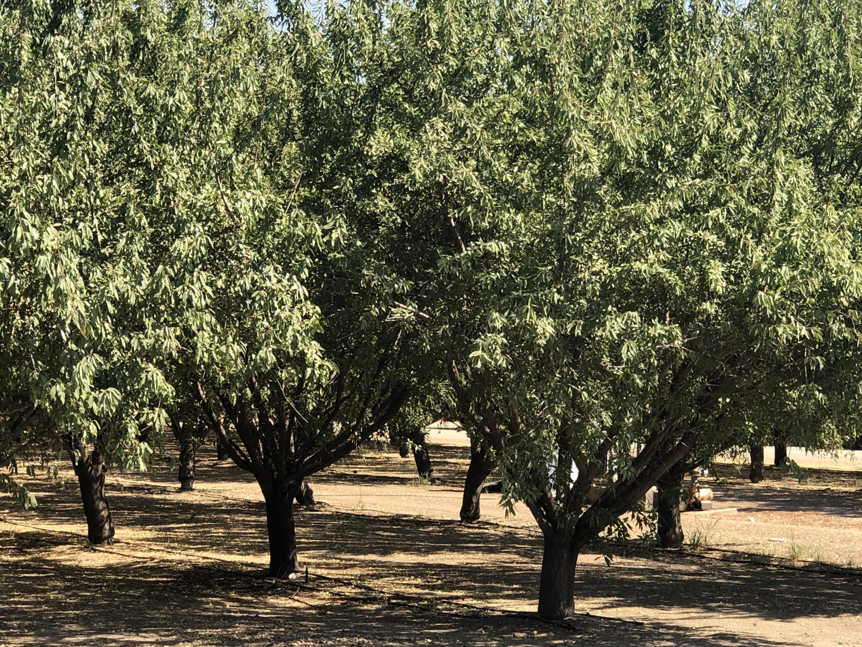 000 W Marinette Ave, Exeter, CA 93221