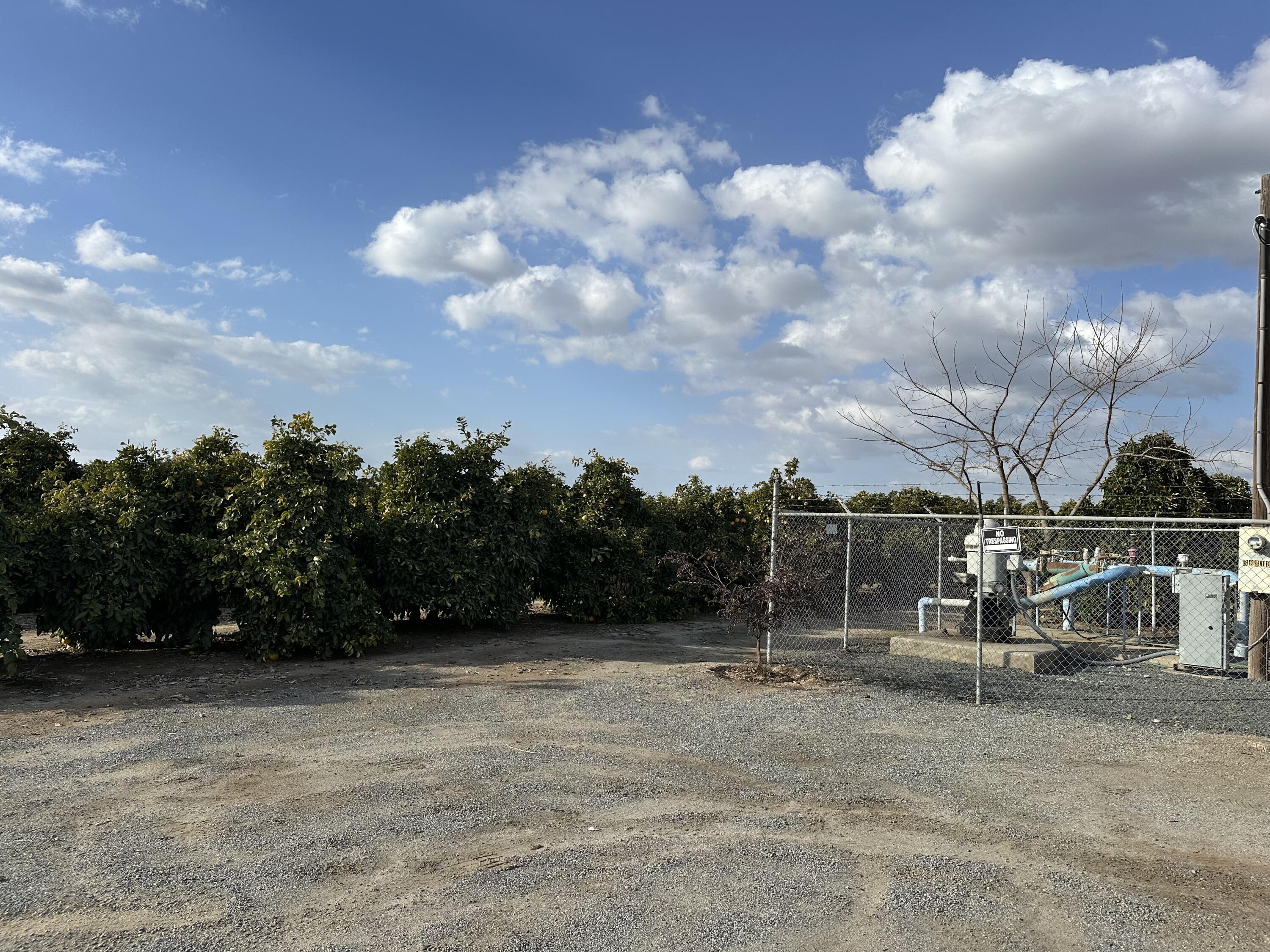 Highway 65 Highway 65 Citrus Ranch, Ducor, CA 93218