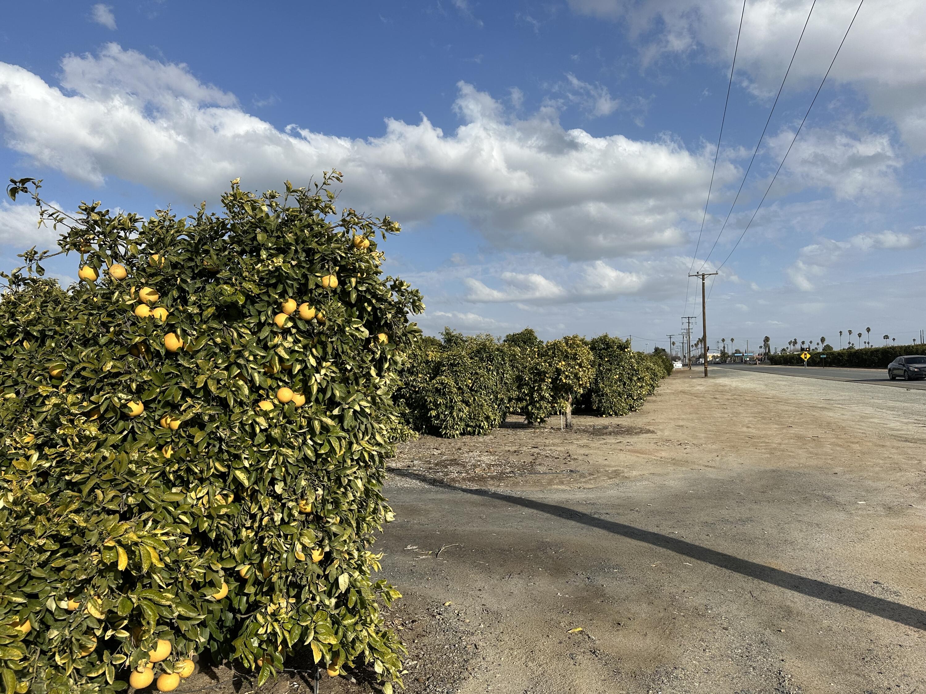 Highway 65 Highway 65 Citrus Ranch, Ducor, CA 93218