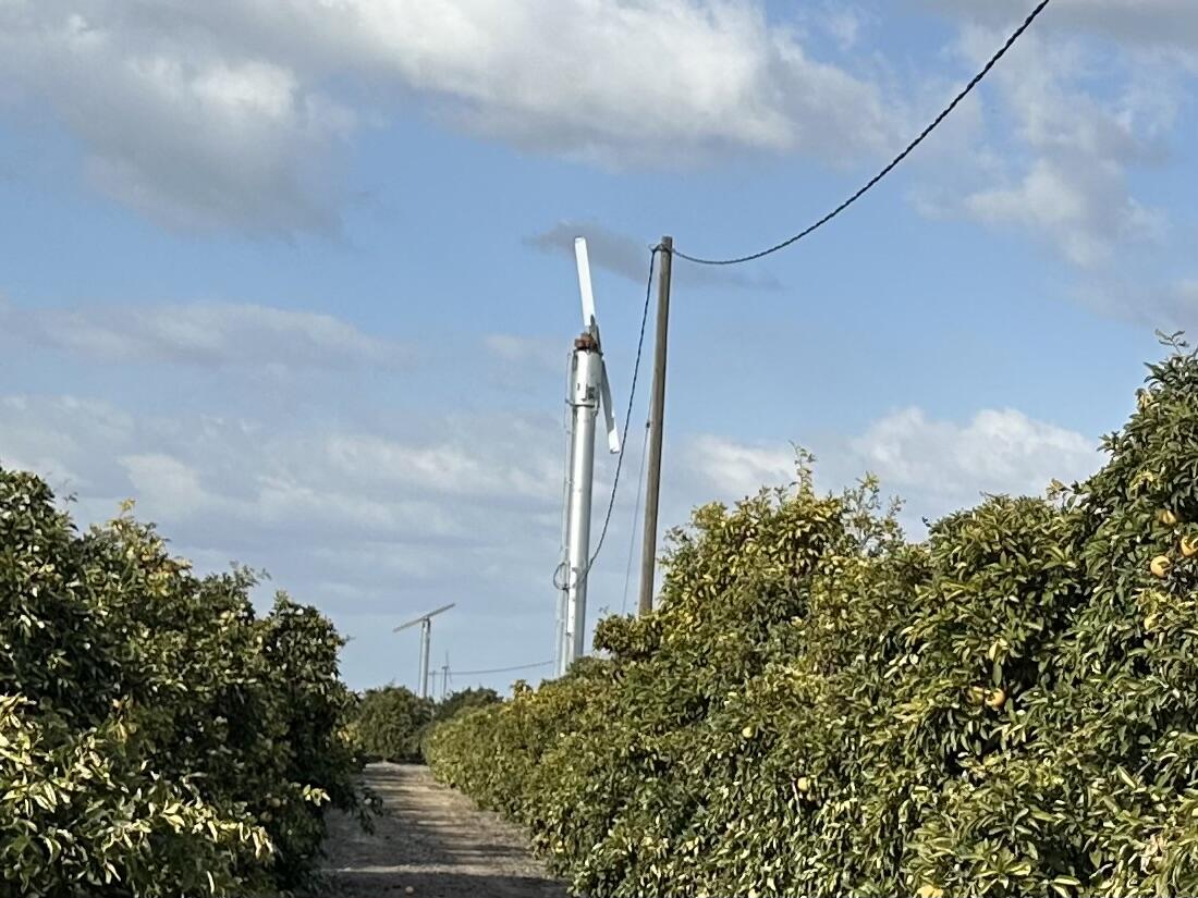 Highway 65 Highway 65 Citrus Ranch, Ducor, CA 93218