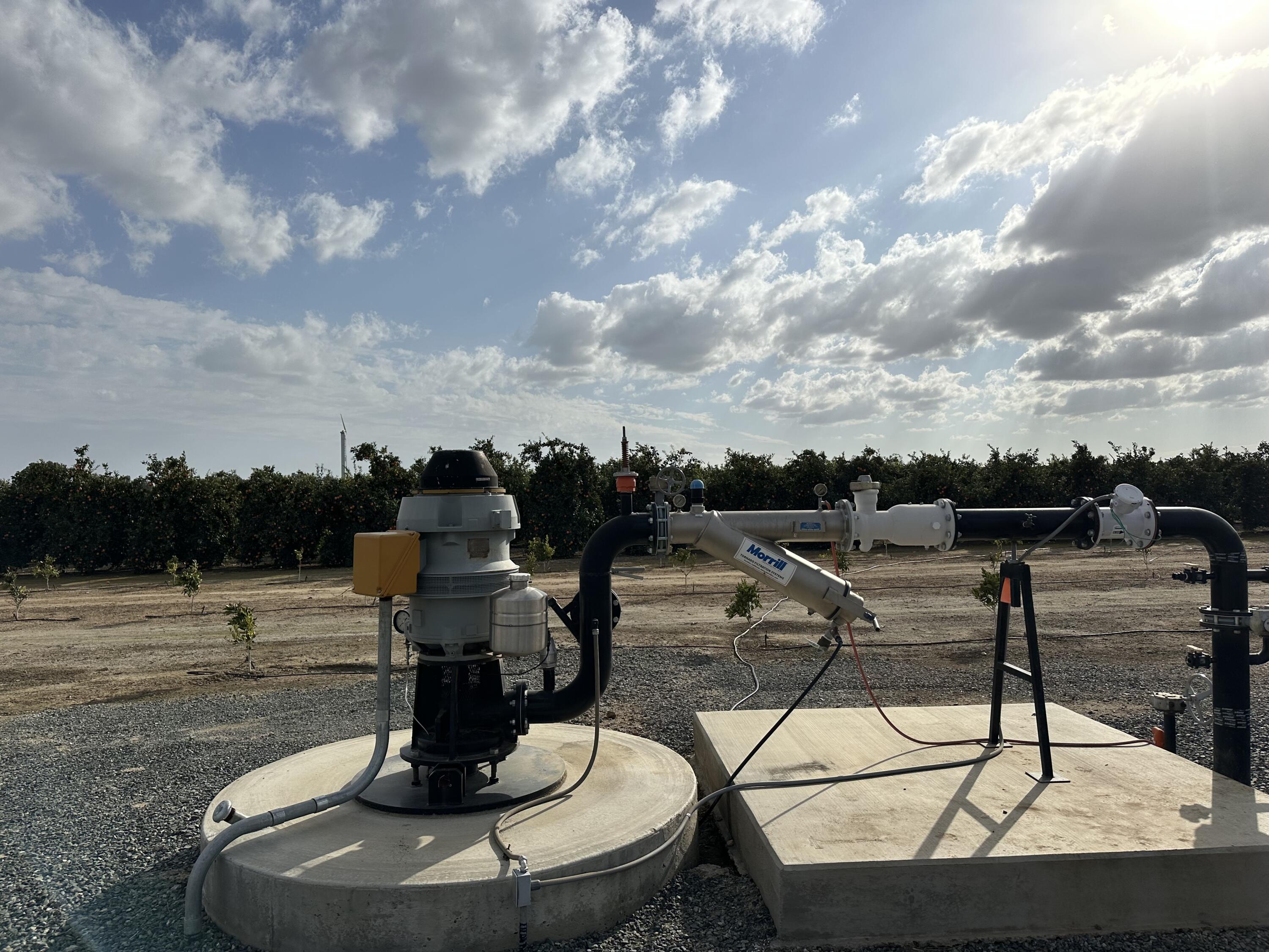 0 37 Acres Citrus Ranch, Terra Bella, CA 93270