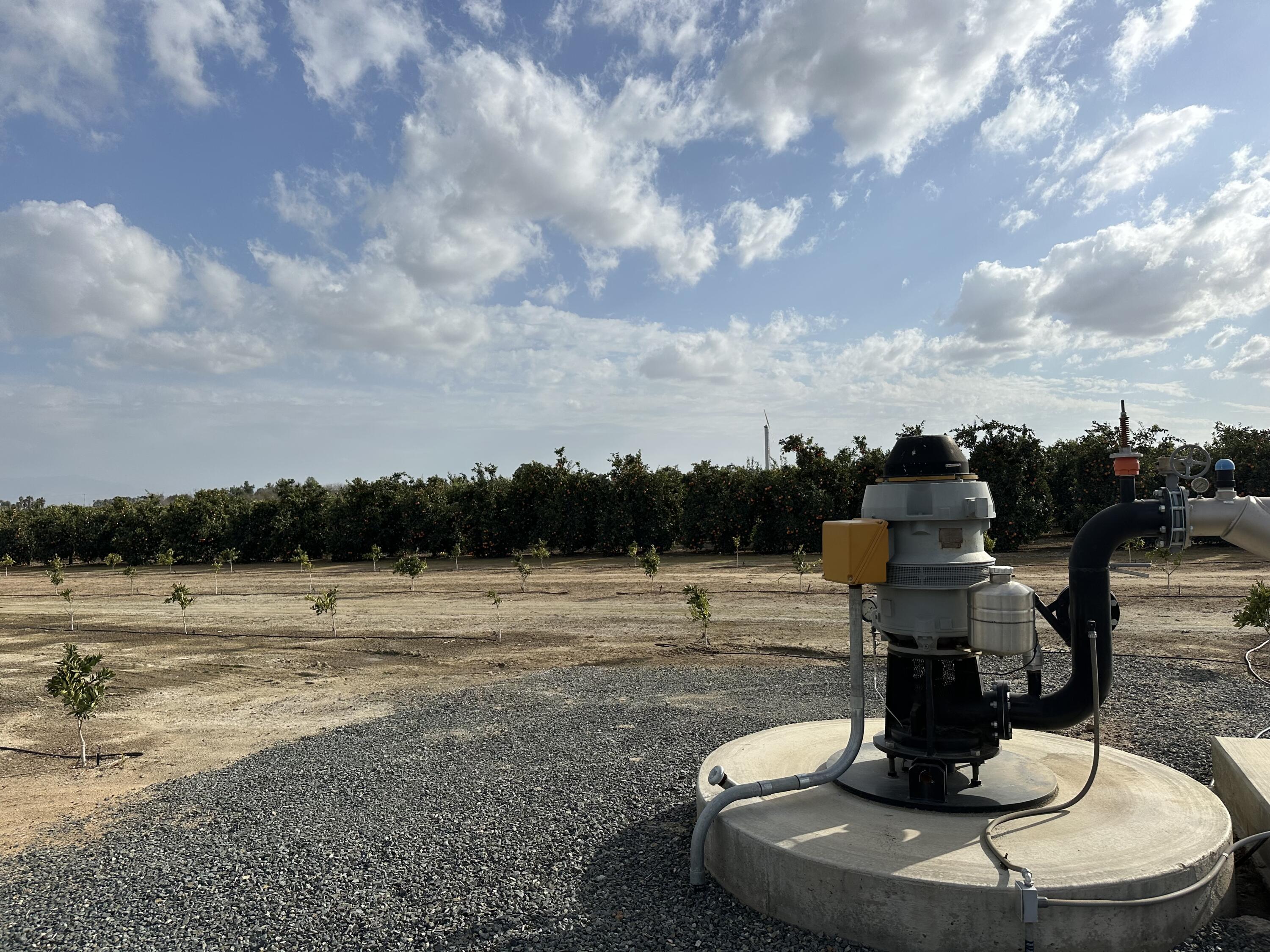 0 37 Acres Citrus Ranch, Terra Bella, CA 93270