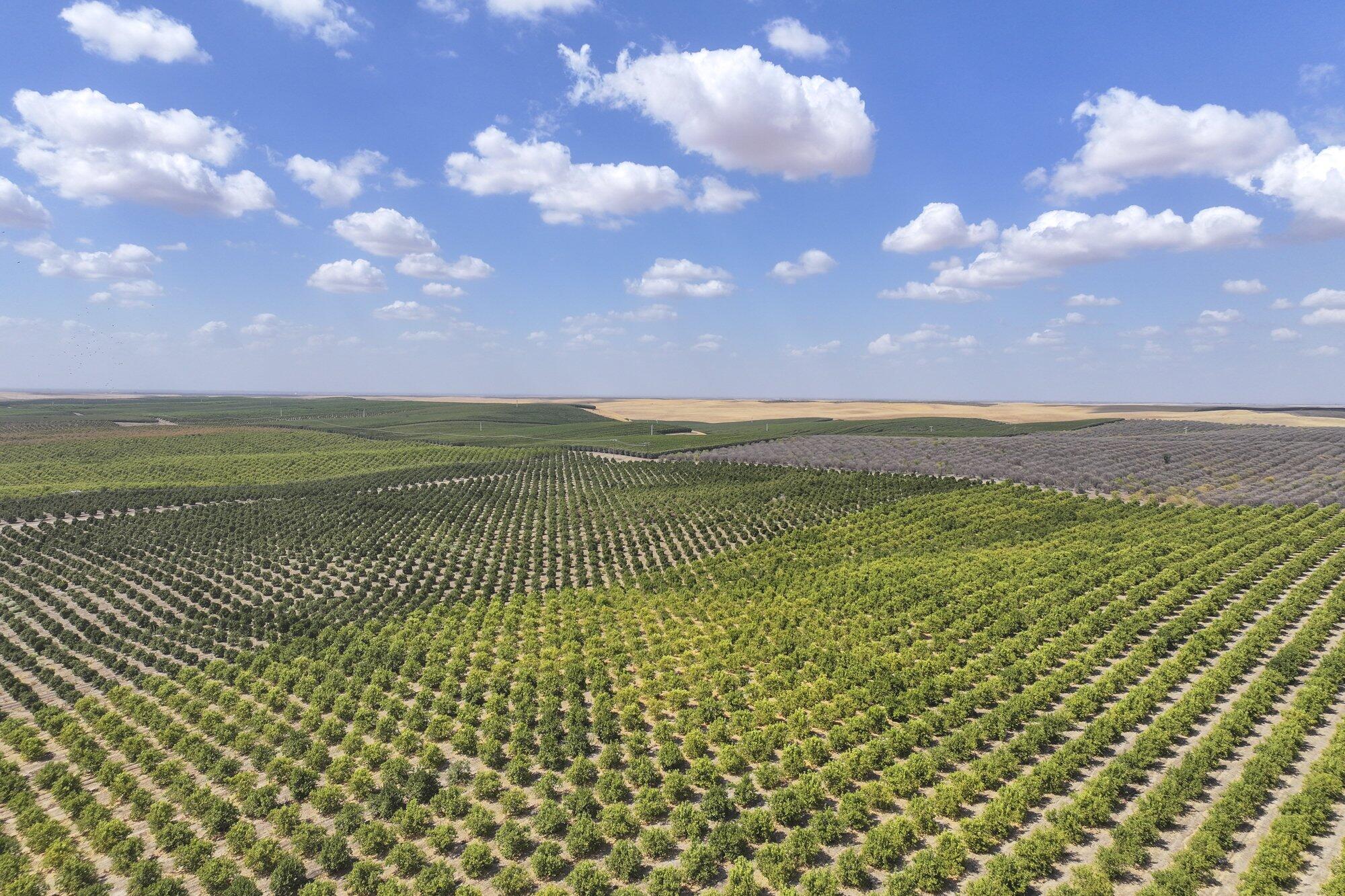 0 Ave. 2, Ducor, CA 93218