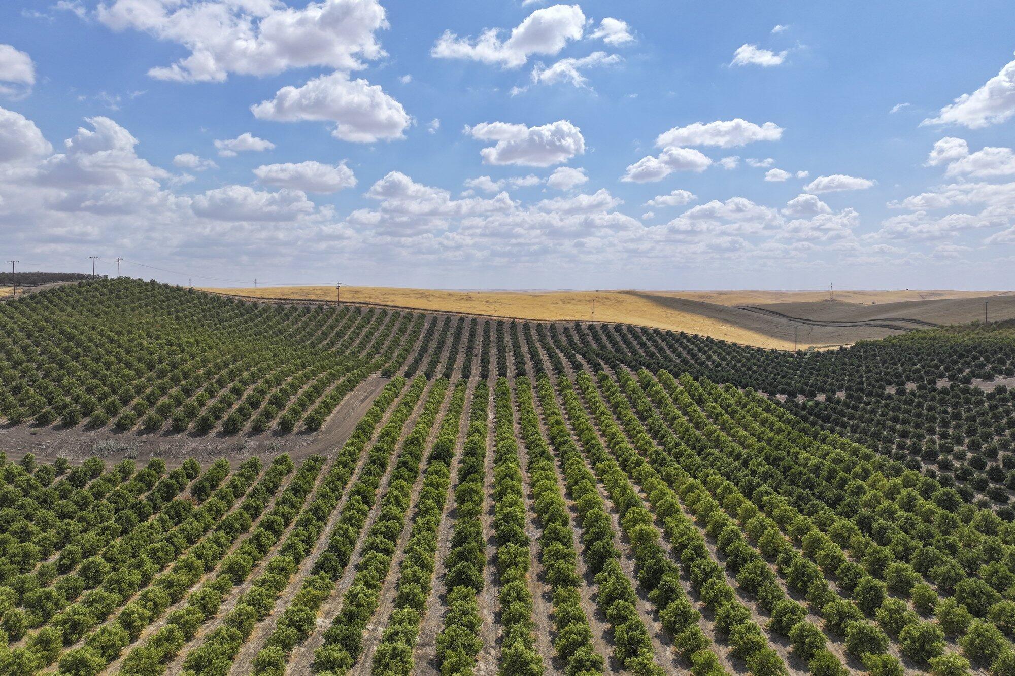 0 Ave. 2, Ducor, CA 93218