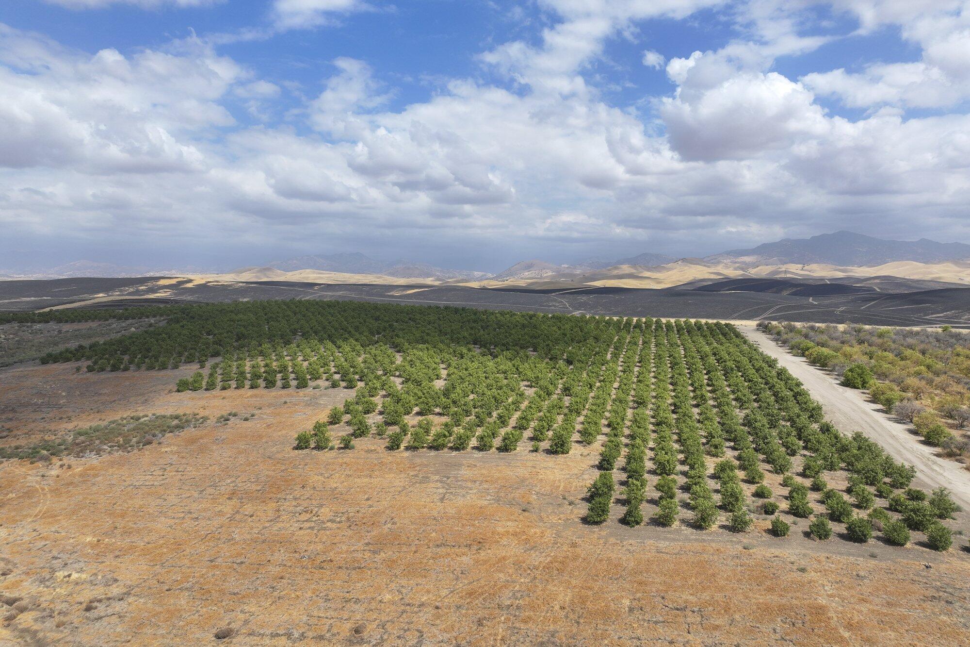 0 Ave. 2, Ducor, CA 93218