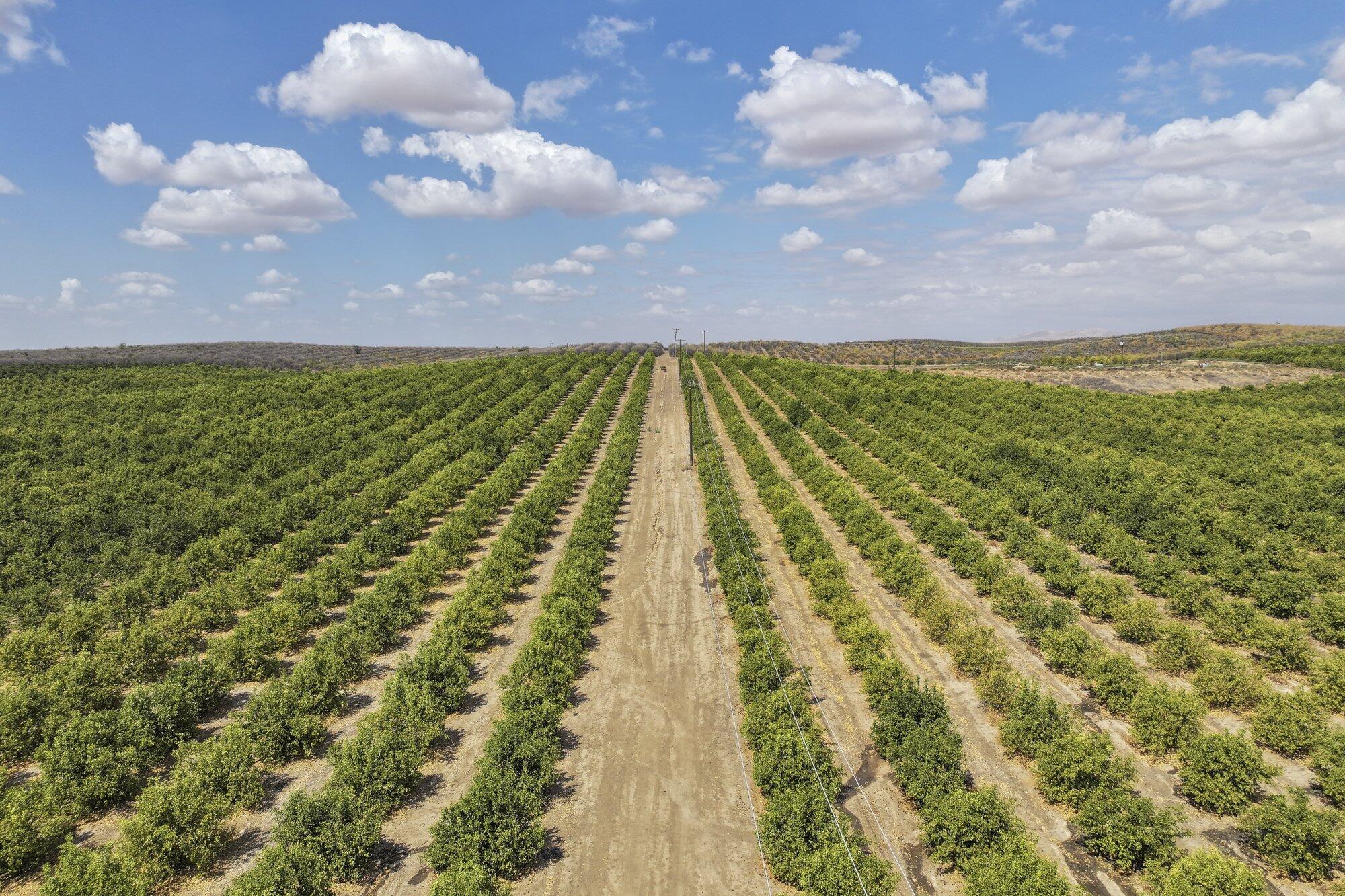 0 Ave. 2, Ducor, CA 93218