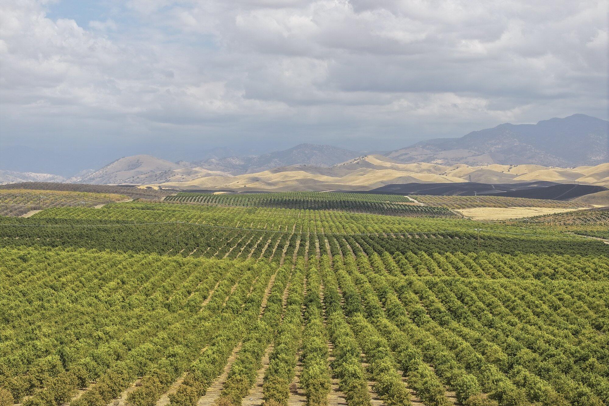 0 Ave. 2, Ducor, CA 93218